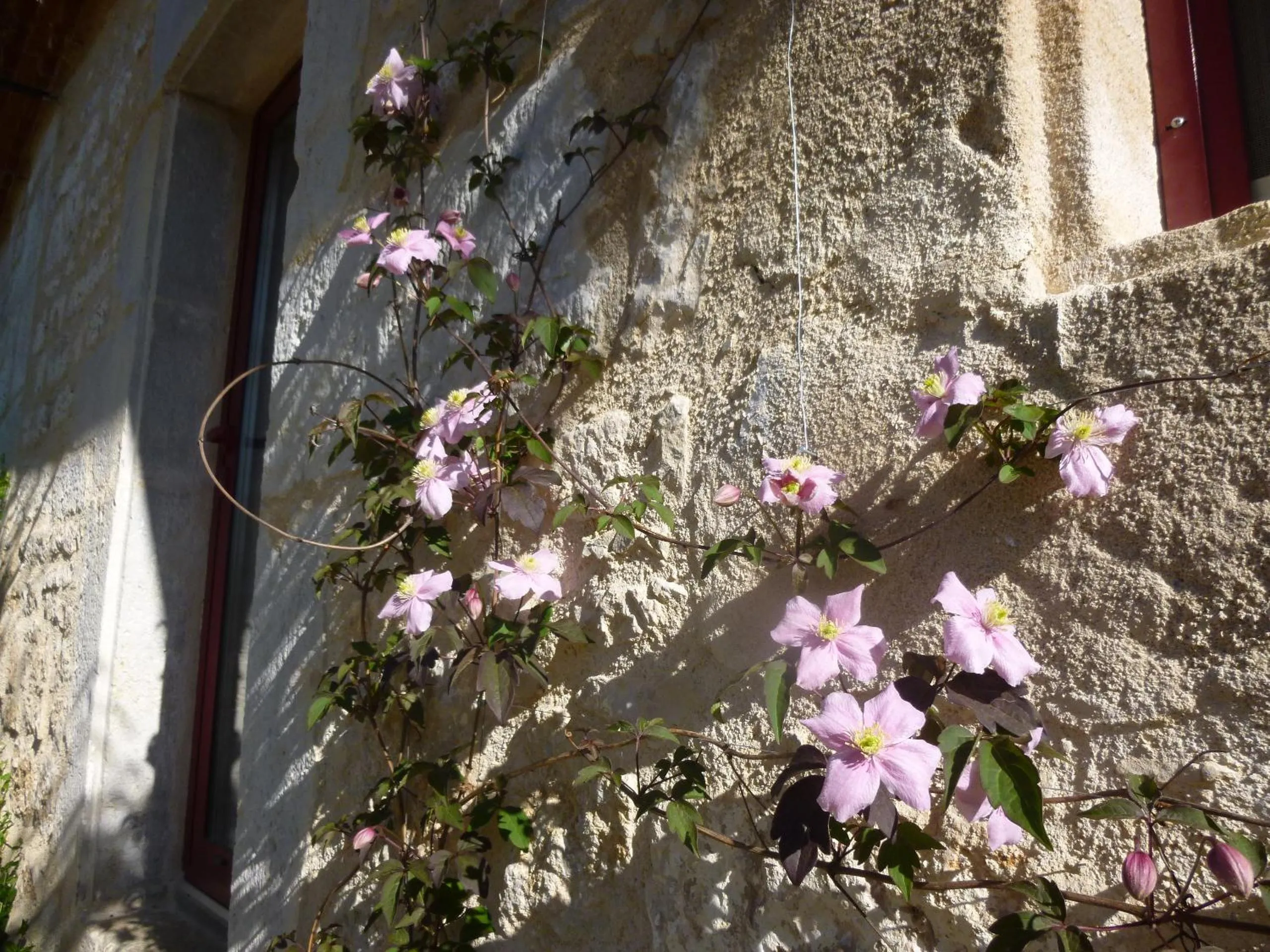 Garden in Au Mas de Gamet