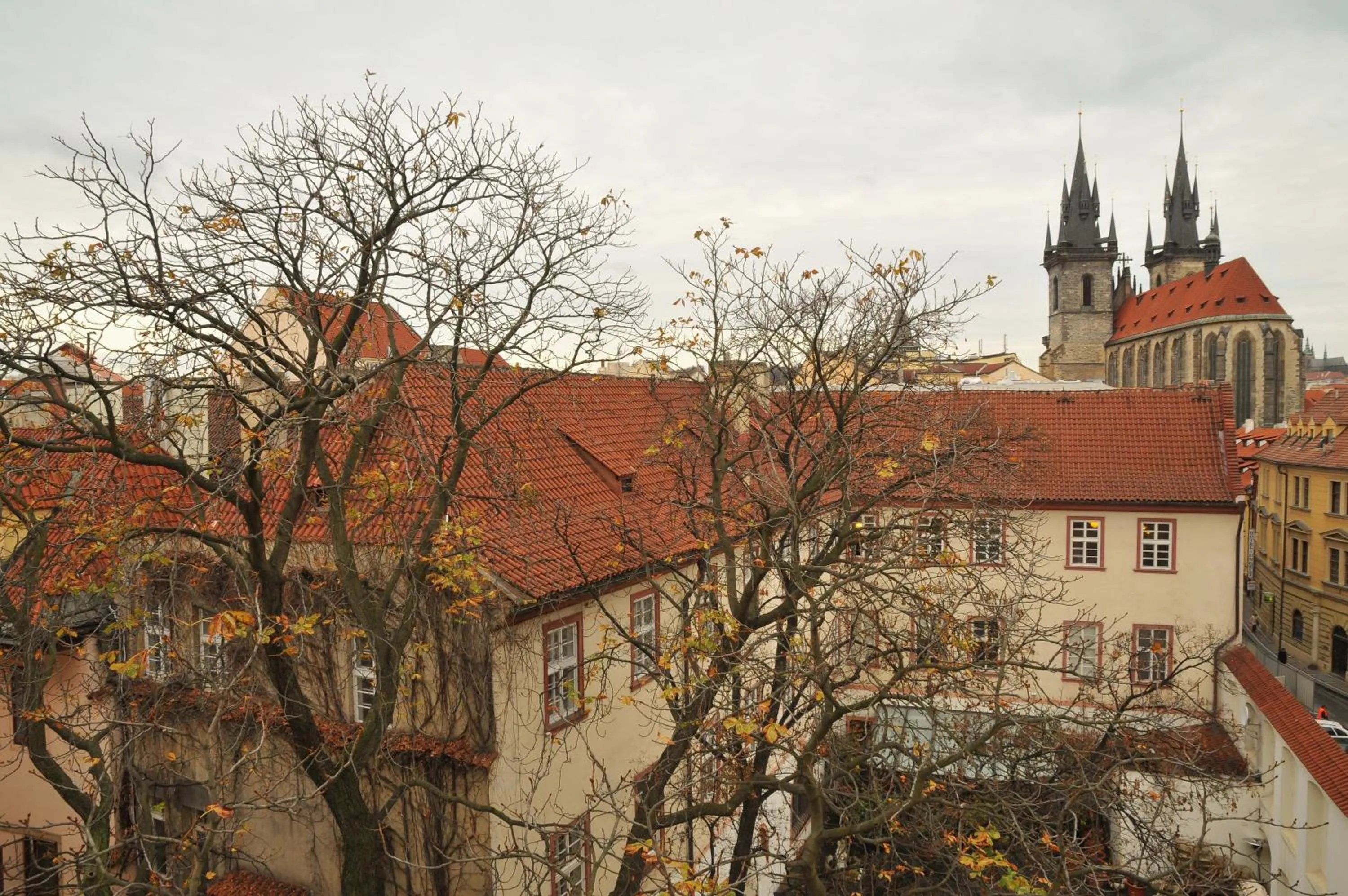 View (from property/room) in Selinor Old Town Apartments