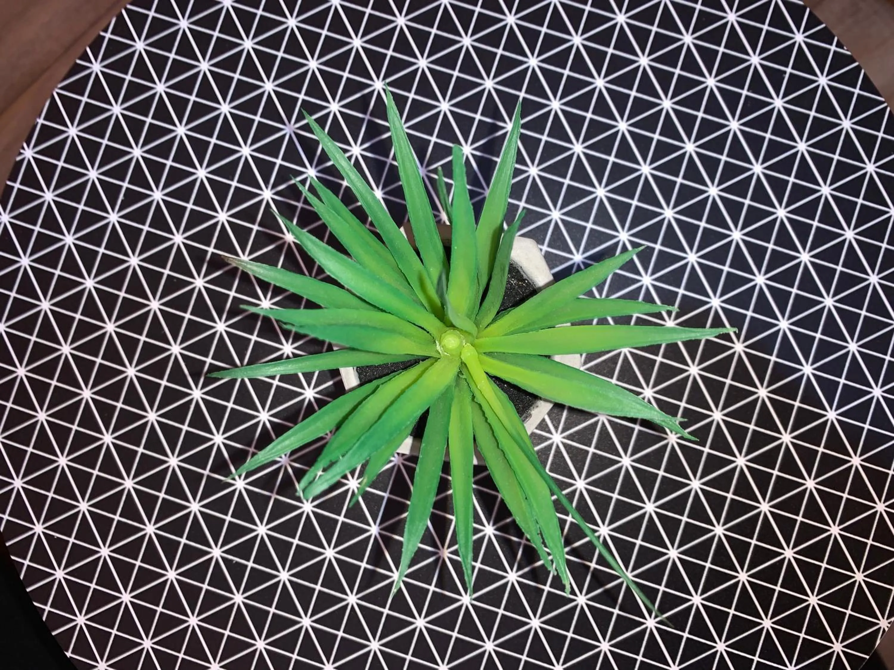 Decorative detail in Pension City Center