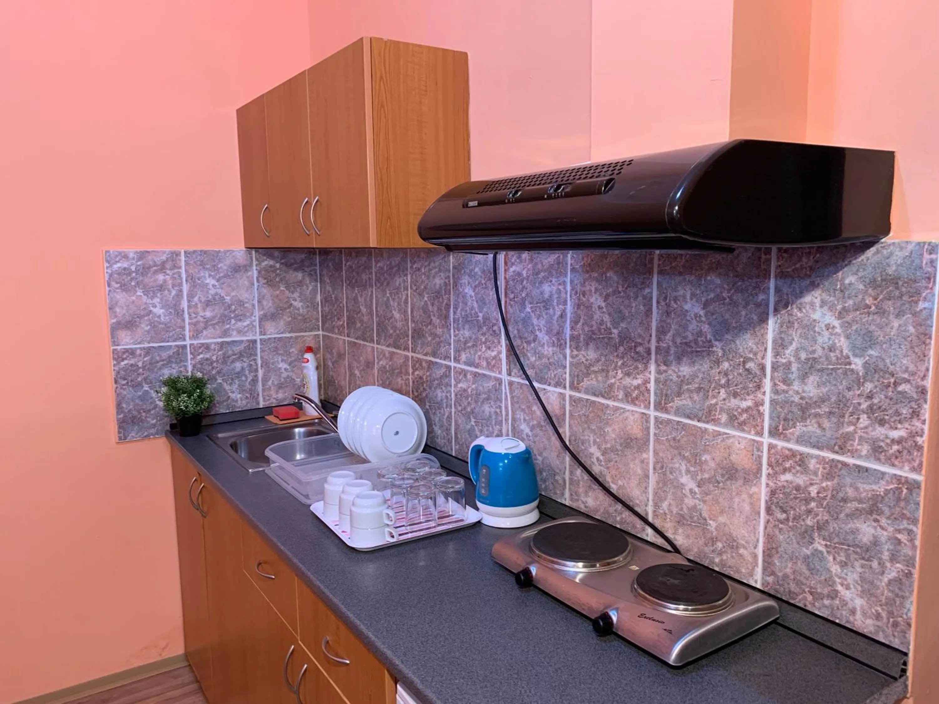 Kitchen or kitchenette in Pension City Center