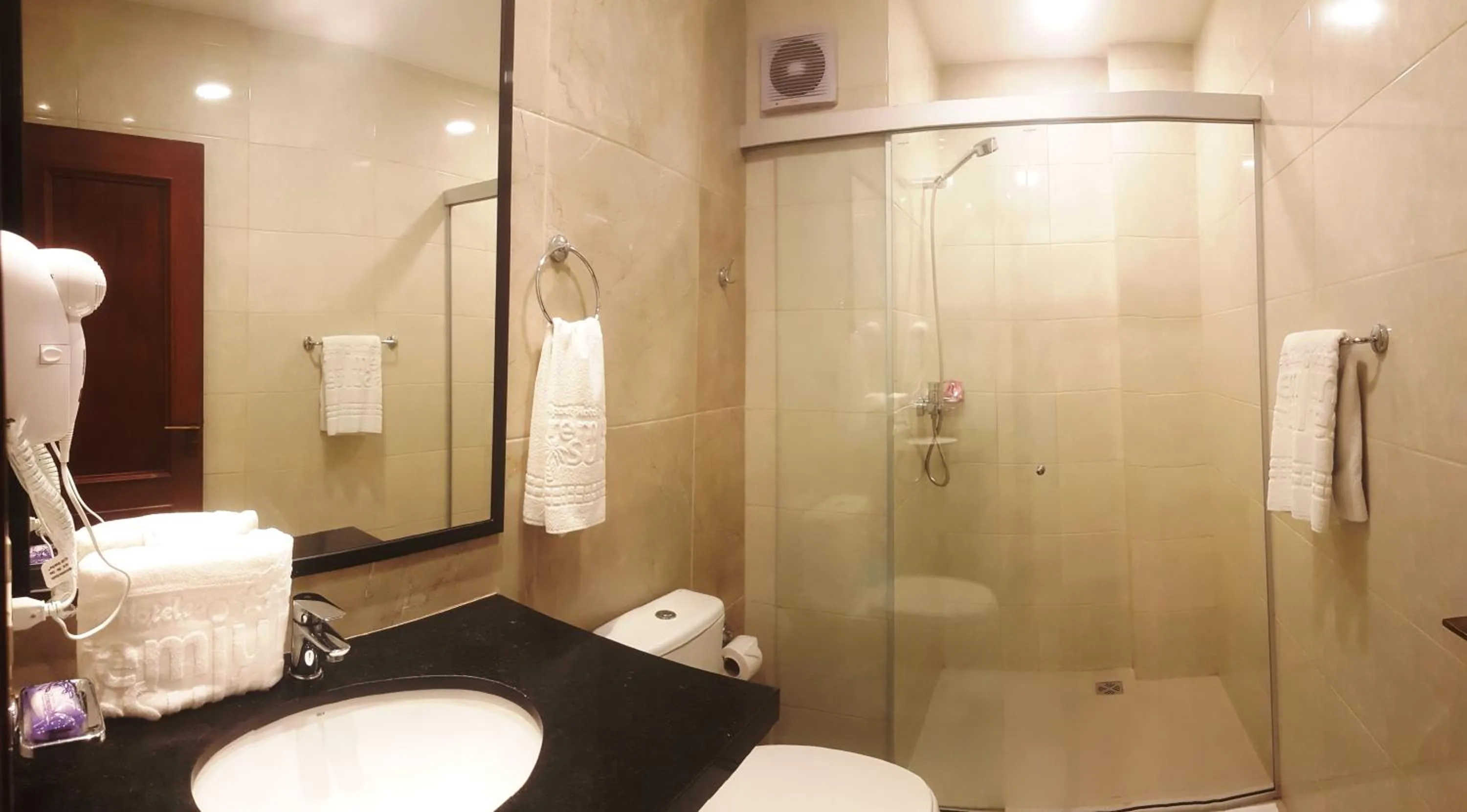 Bathroom in Premium Suites Deluxe Aparthotel Equipetrol