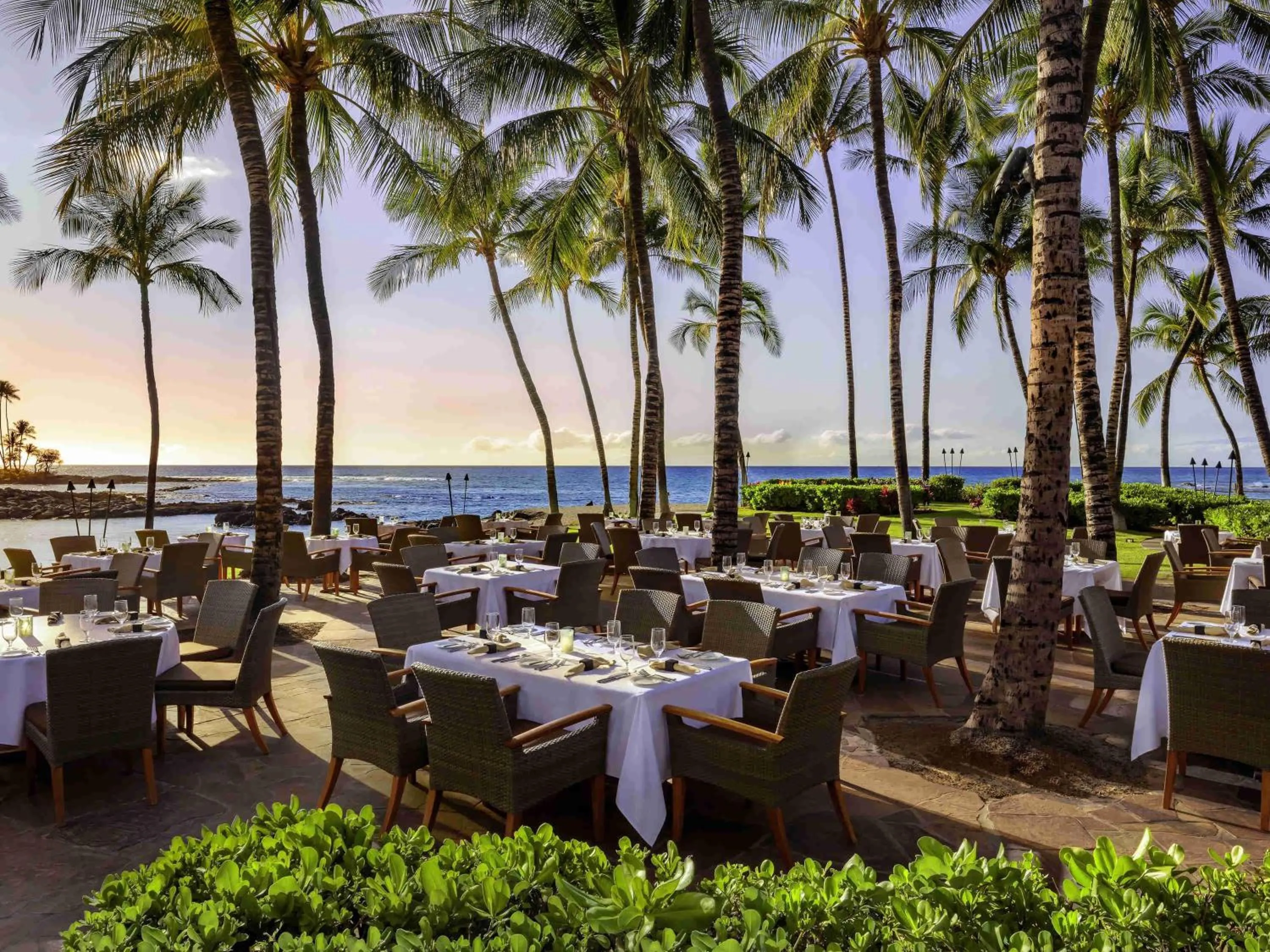 Restaurant/places to eat in Fairmont Orchid