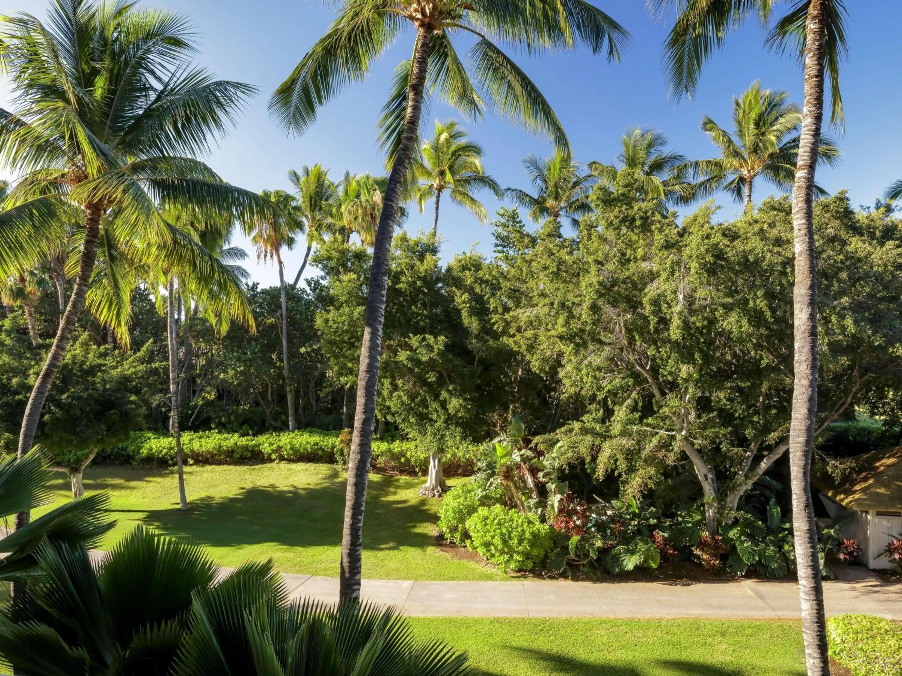 Bedroom in Fairmont Orchid