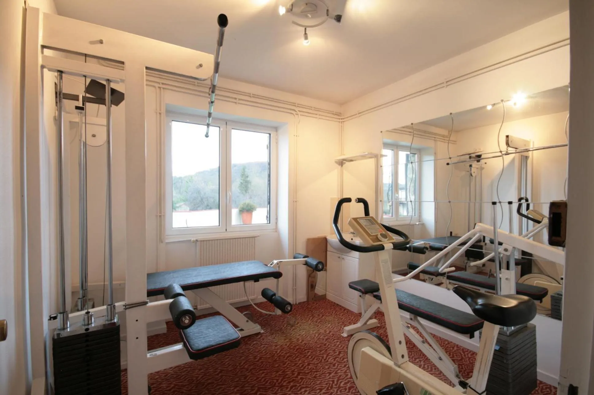 Fitness centre/facilities in Logis Auberge La Diege