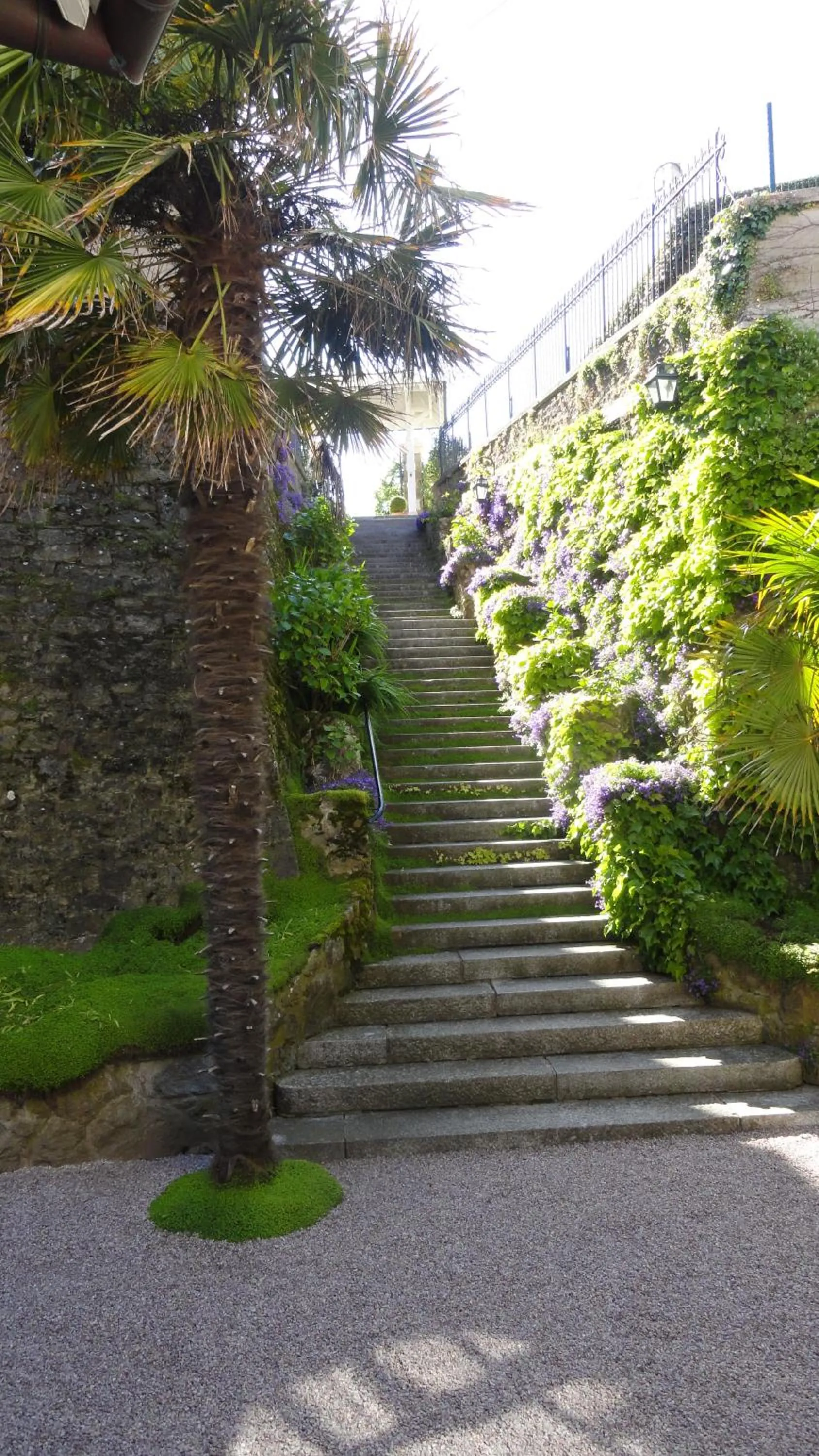 Garden in Hotel Villa Reine Hortense