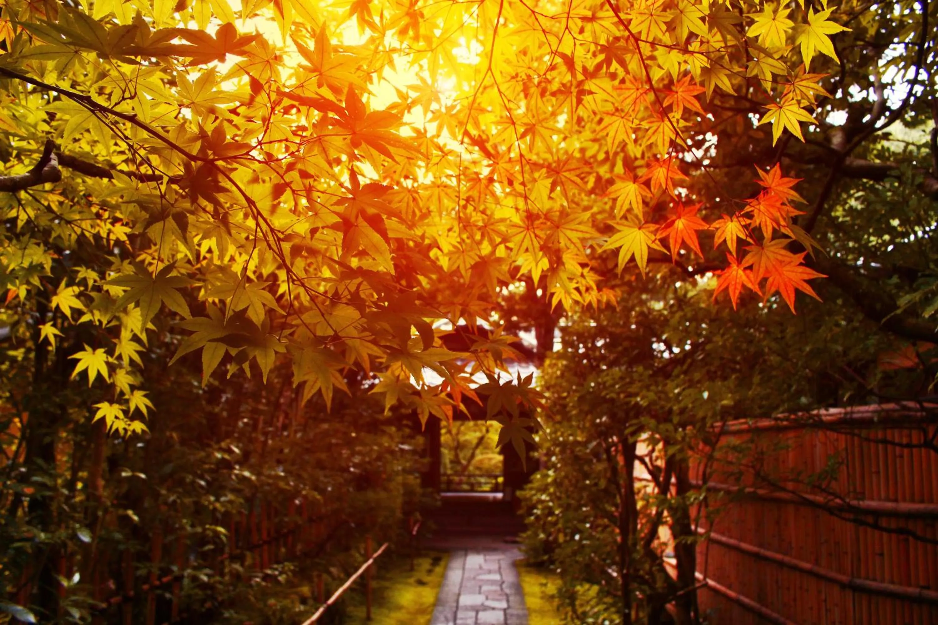 Nearby landmark in Stay SAKURA Kyoto Gion Miyagawacho