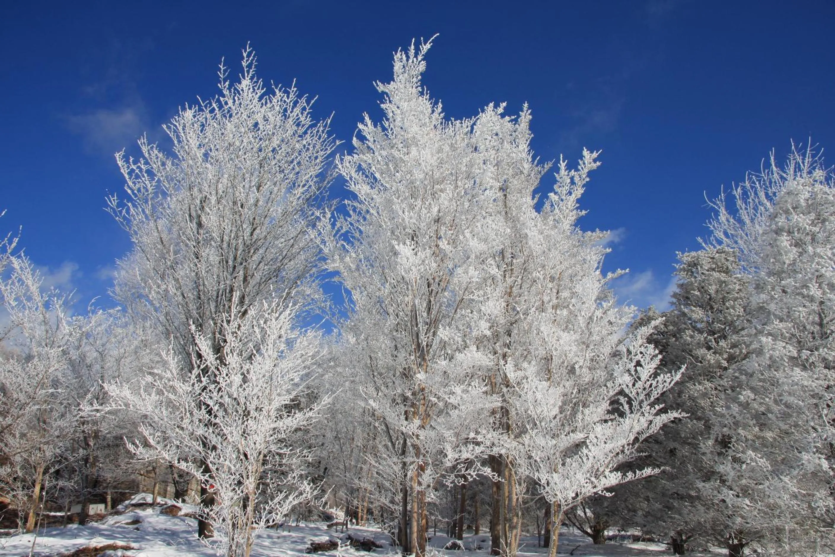 Natural landscape in Twin-Line Hotel Karuizawa Japan