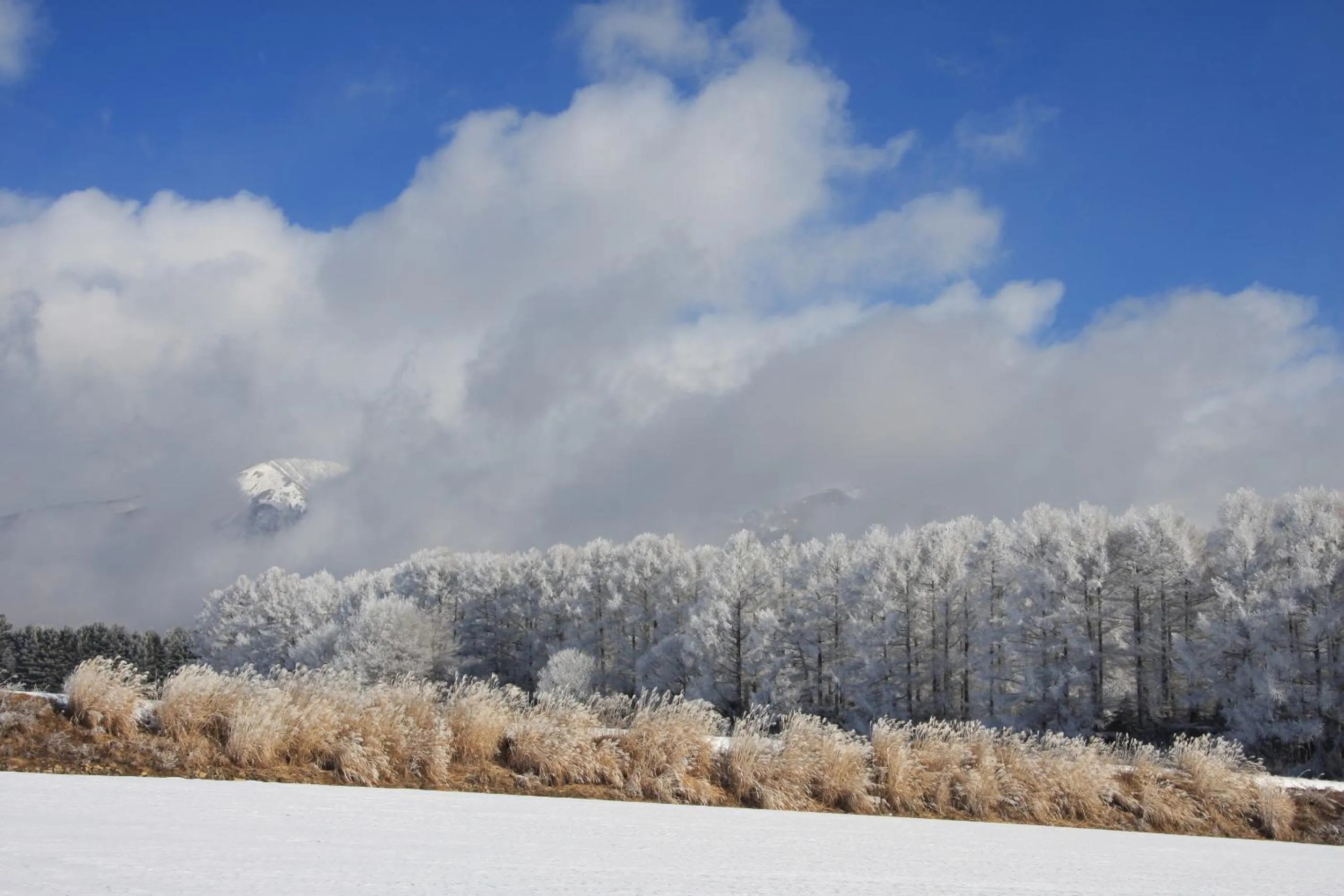Natural landscape in Twin-Line Hotel Karuizawa Japan