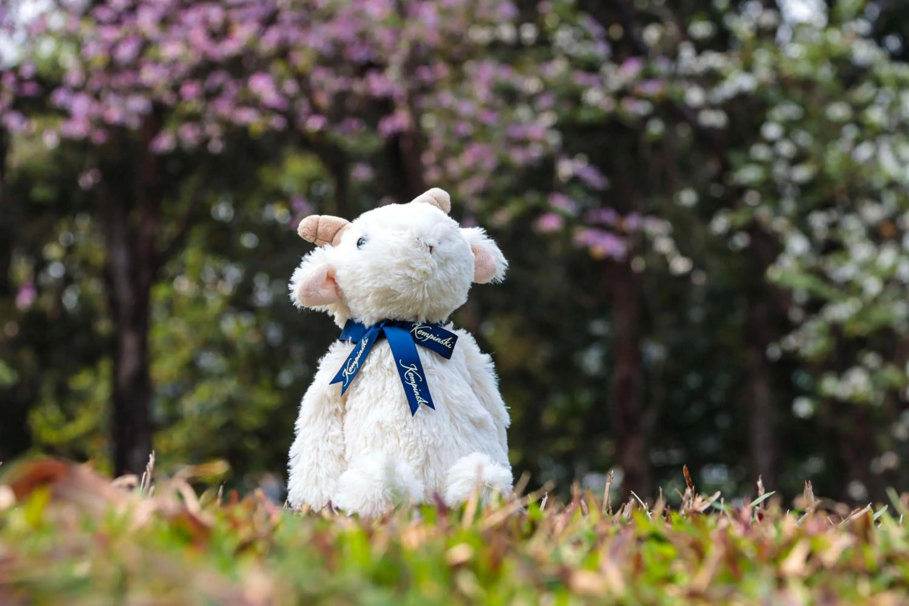 Other in Kempinski Residences Guangzhou