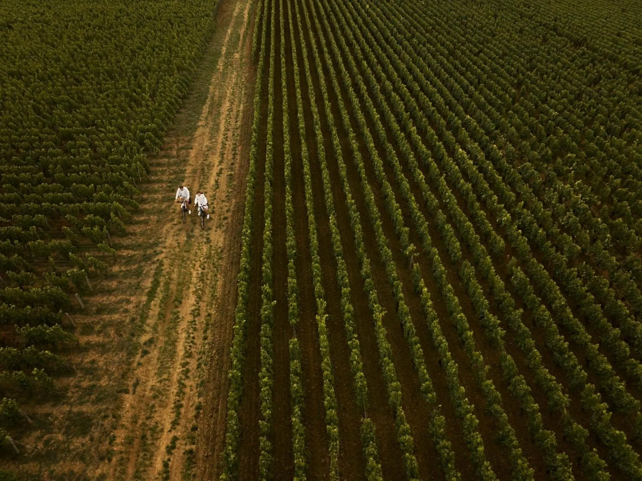 Area and facilities in COMO Le Montrachet