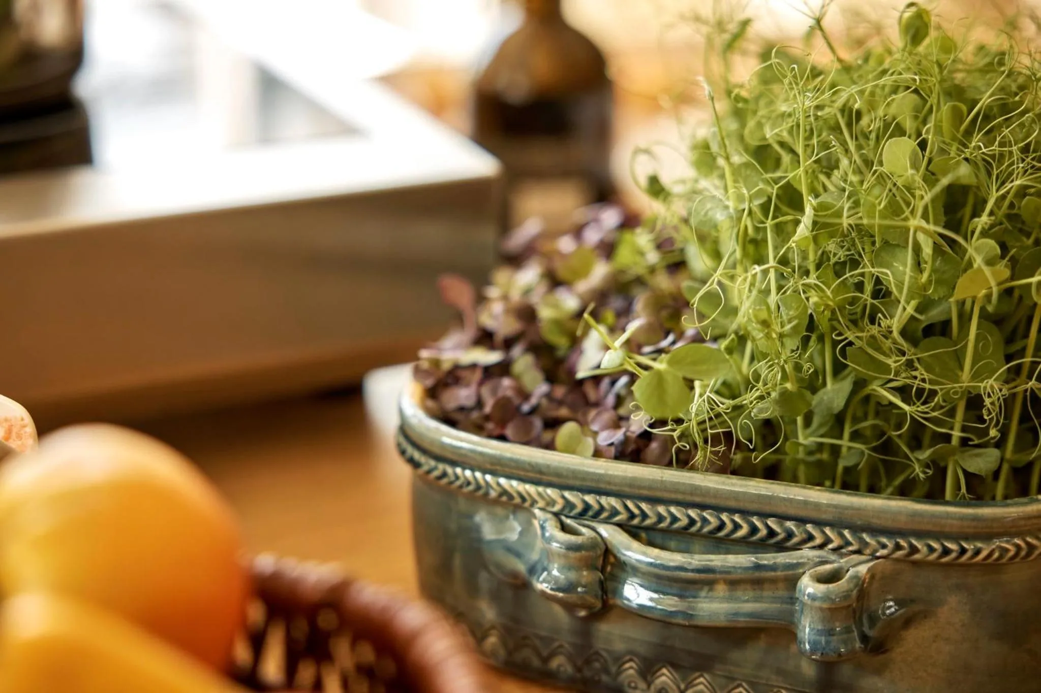 Area and facilities in COMO Le Montrachet