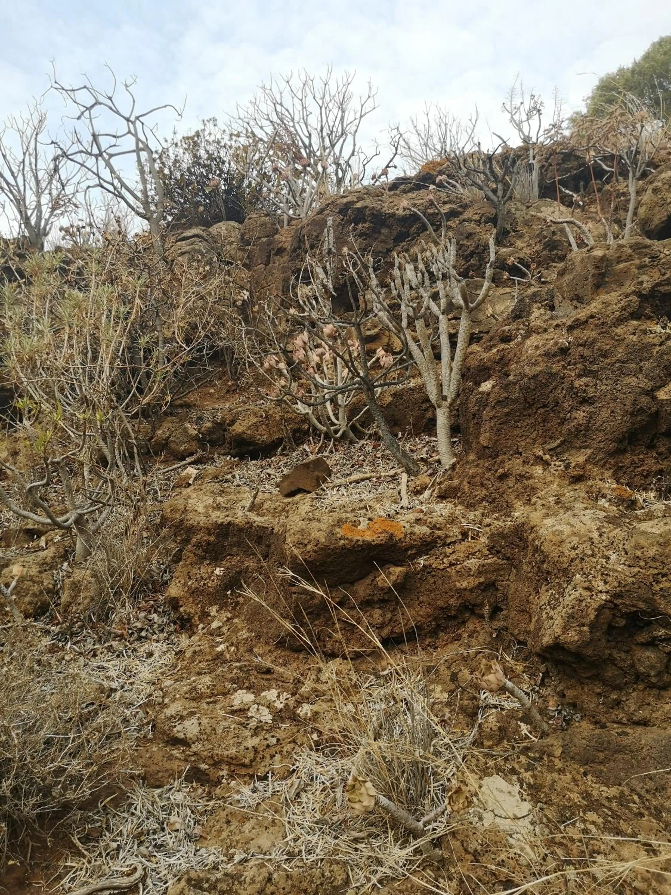 La Casona Canaria Boutique Home B & B