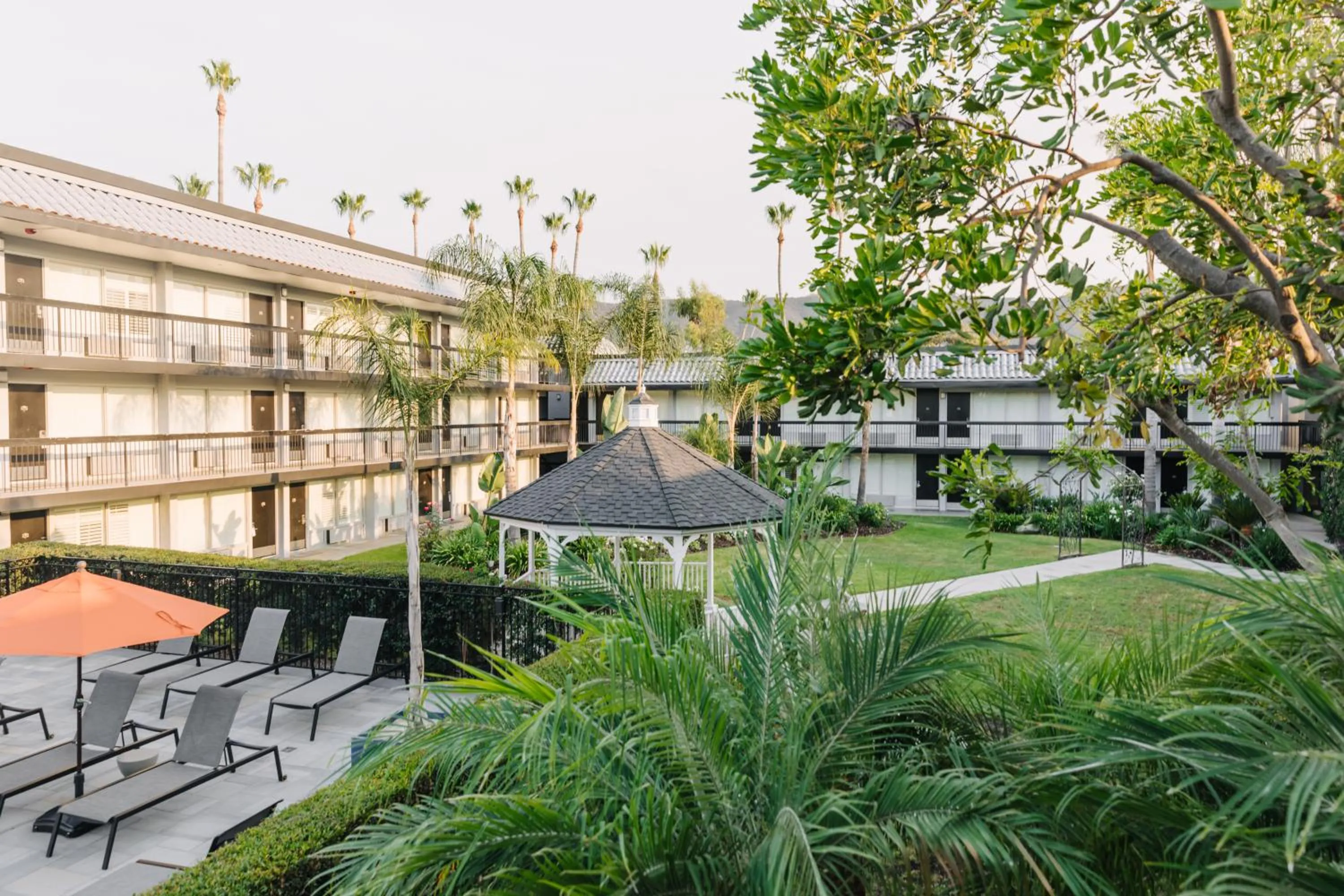 Garden in Palm Garden Hotel