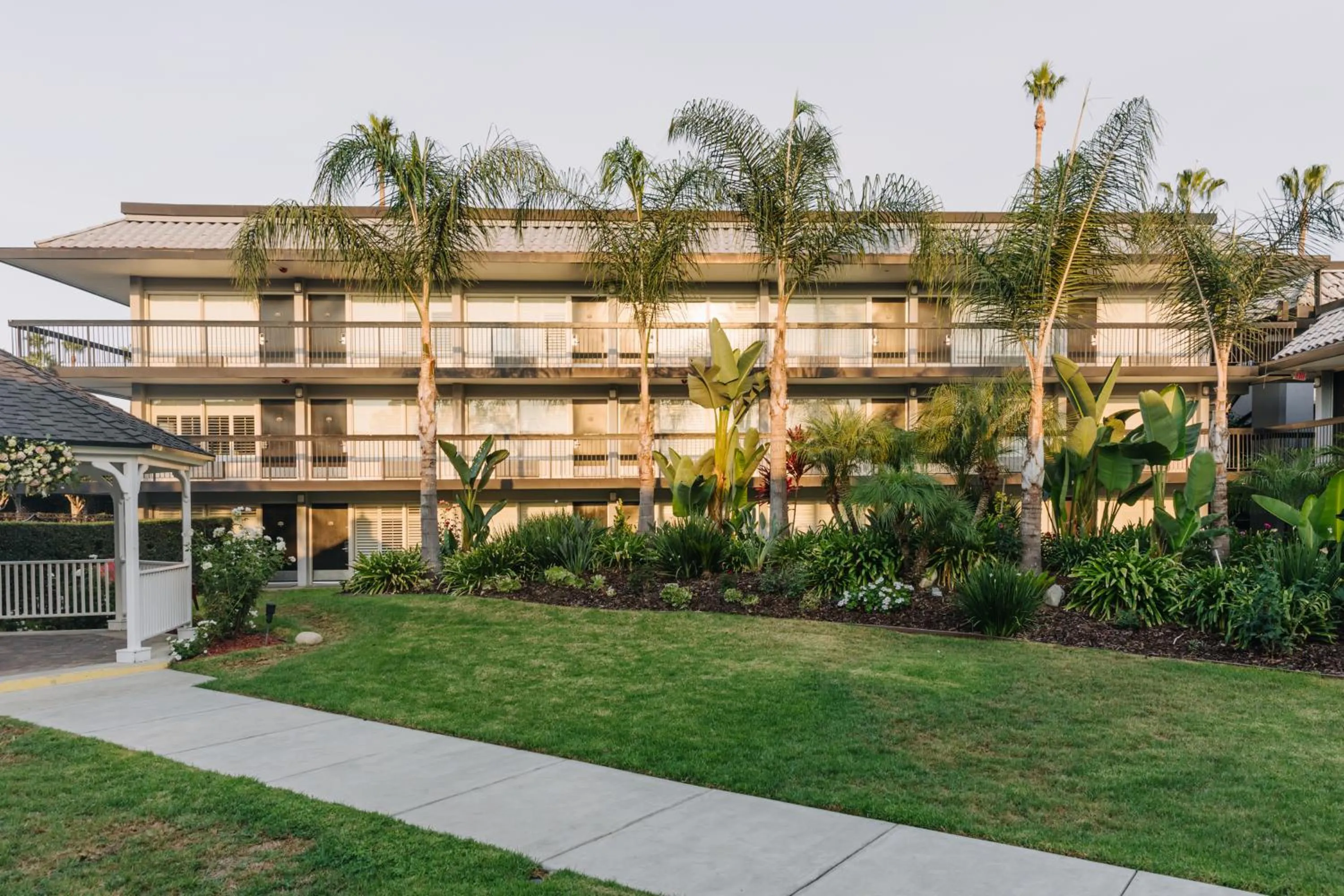 Garden in Palm Garden Hotel