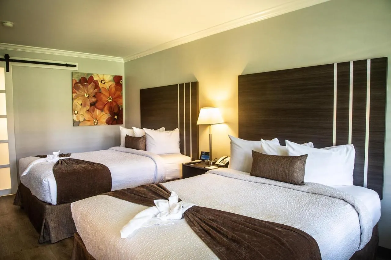 Street view in Palm Garden Hotel