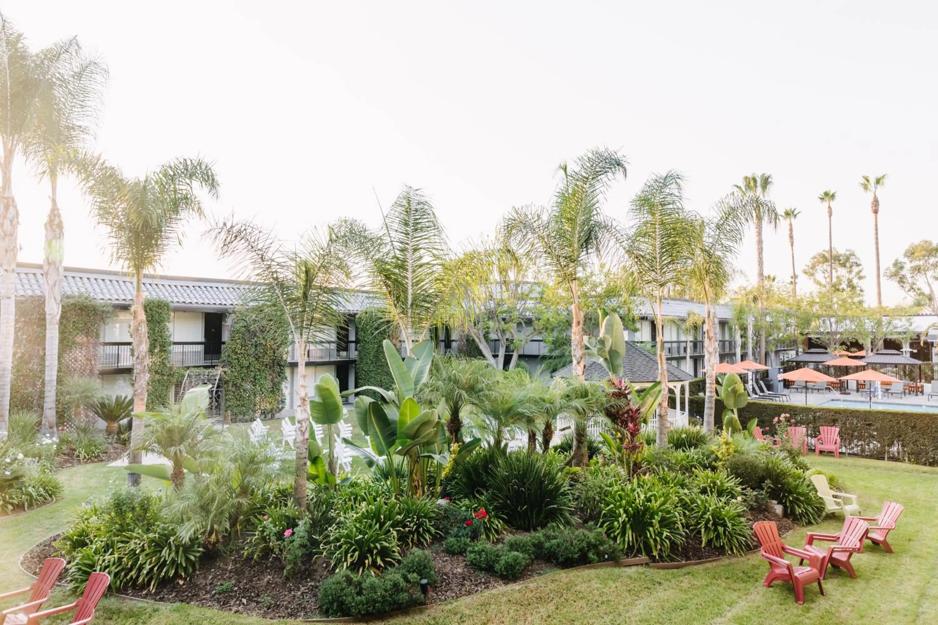 Garden in Palm Garden Hotel