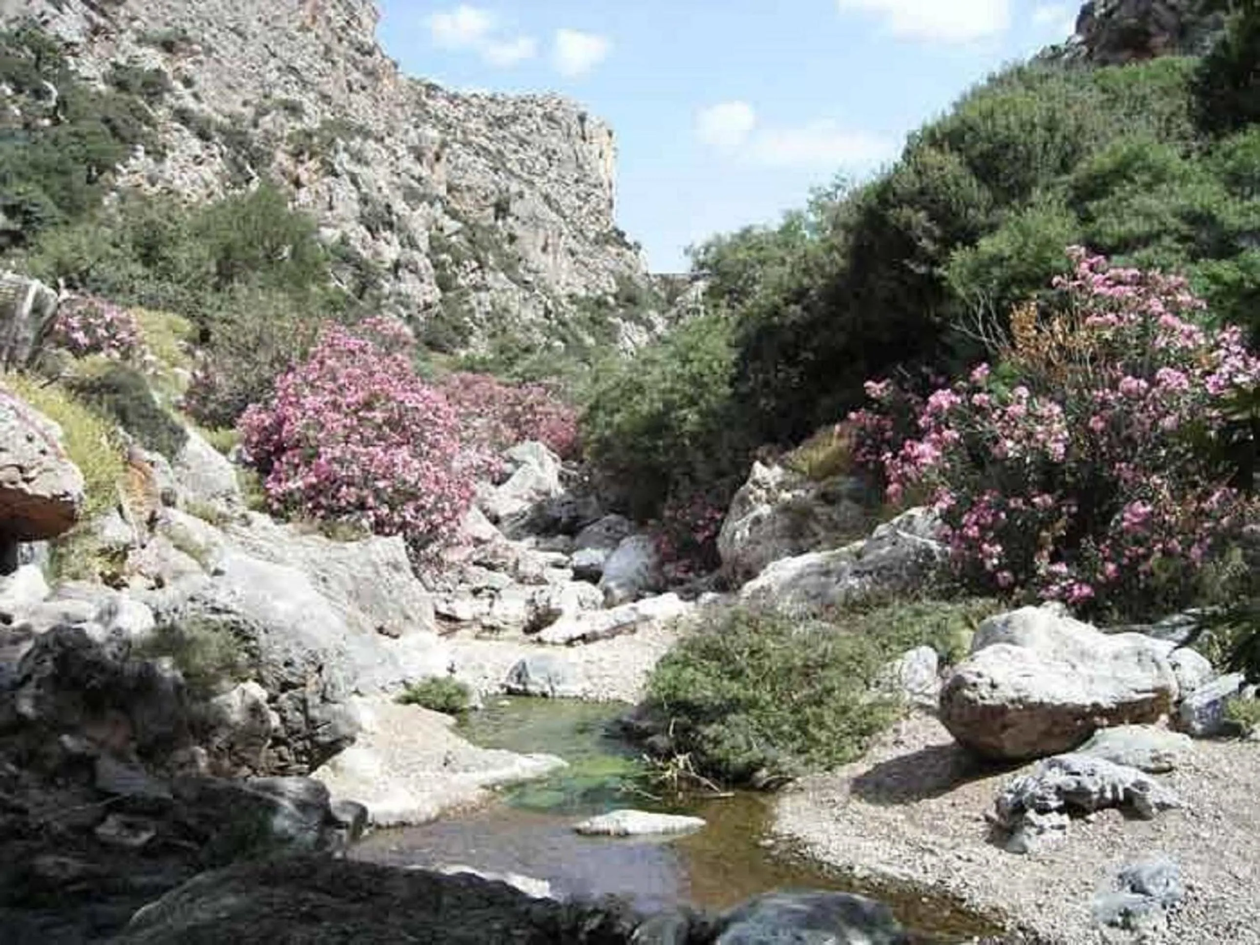 Day in Hotel zakros rooms-restaurant