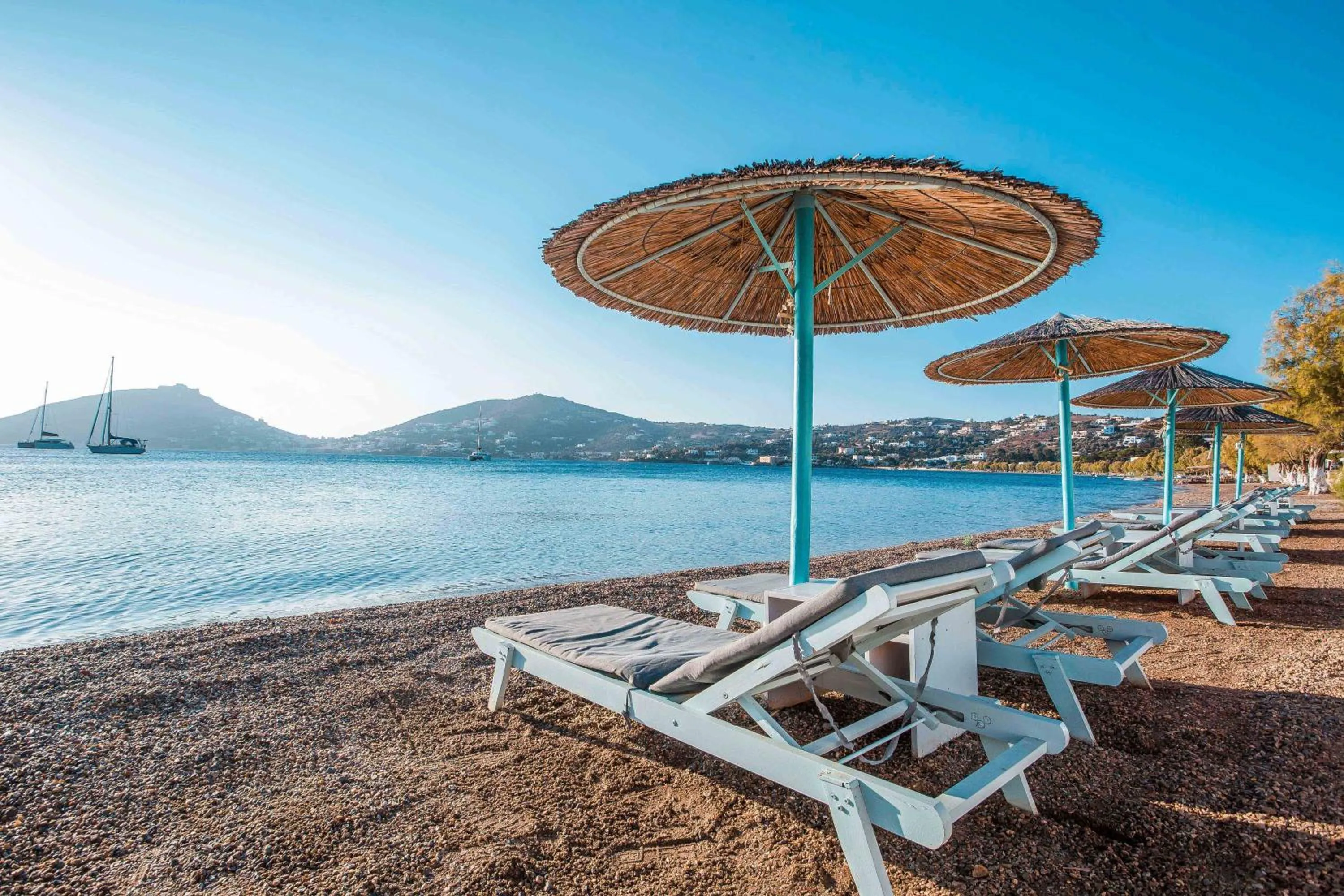 Restaurant/places to eat in Alea Mare Hotel