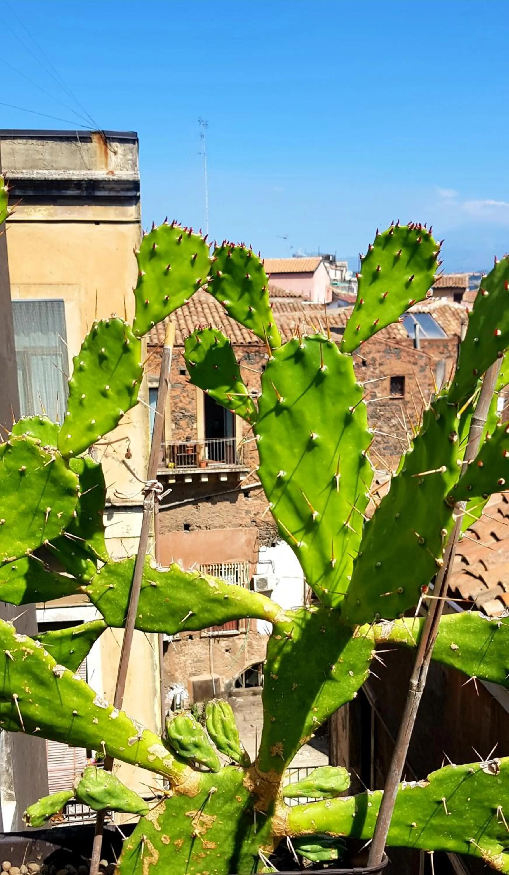 Neighbourhood in Fera O' Luni