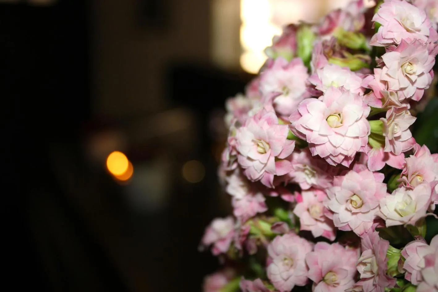 Decorative detail in Hotel Restaurant Am Kring