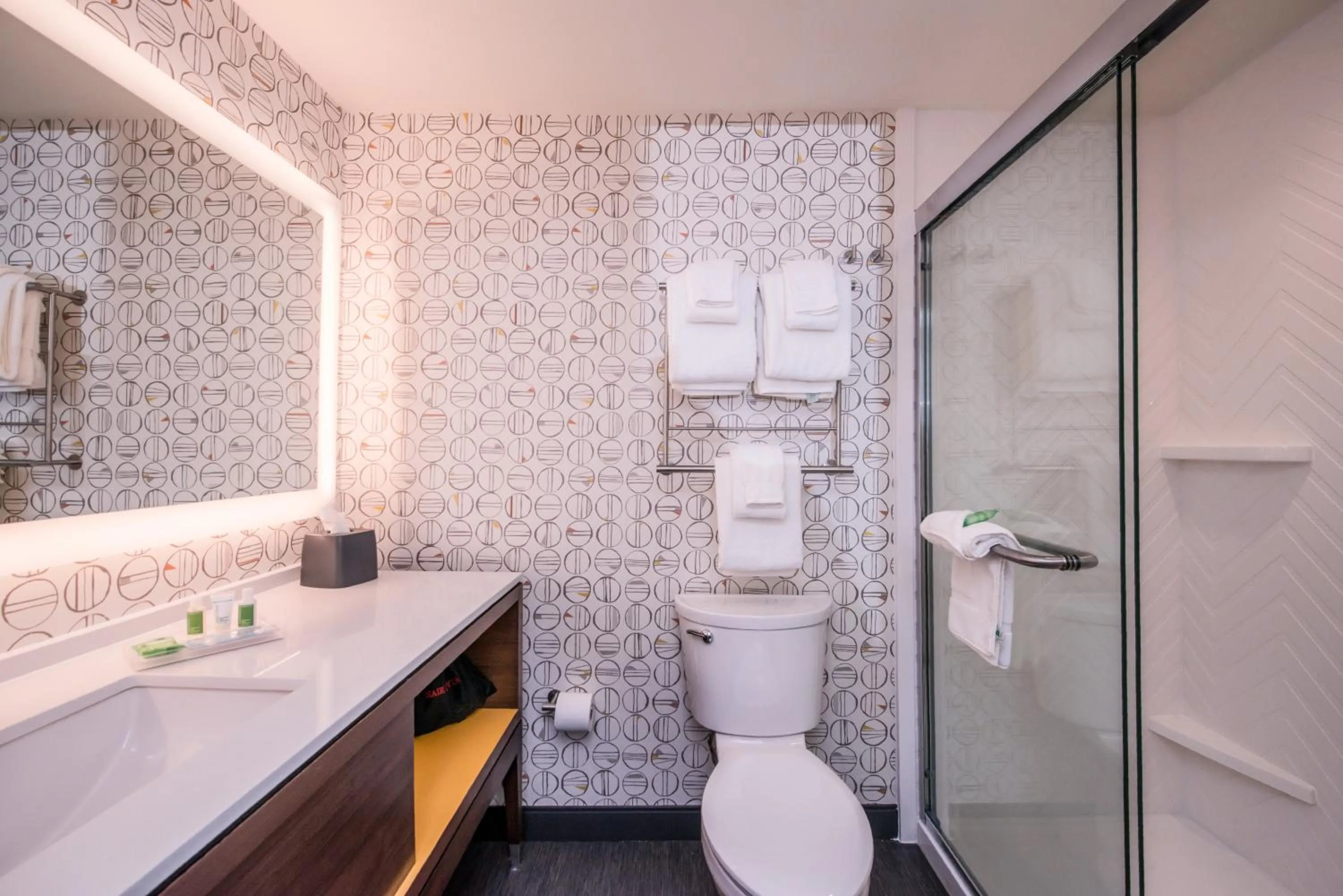 Bathroom in Holiday Inn Detroit Northwest - Livonia by IHG