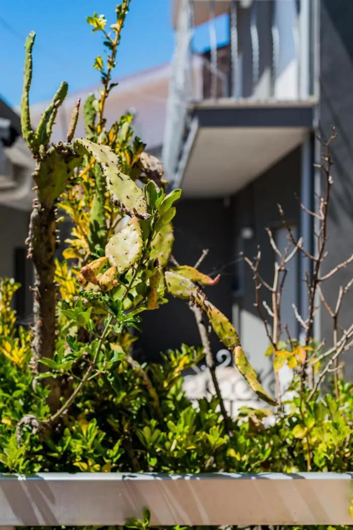 Garden in Casa dos Azulejos