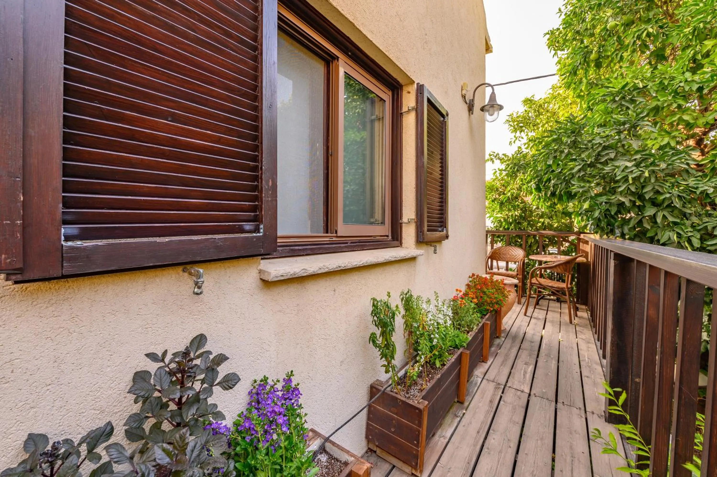 My Place in the Colony