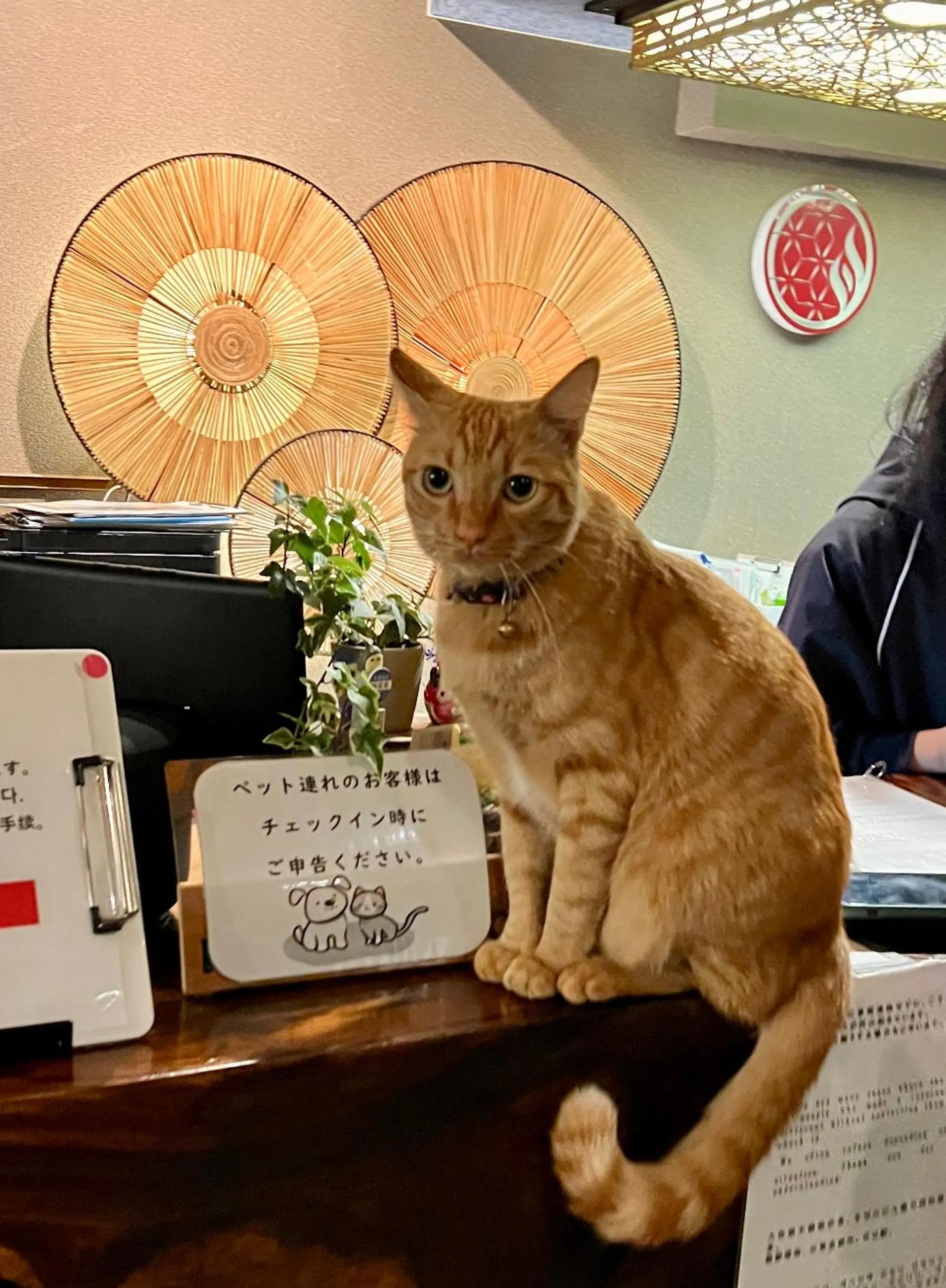 Pets in Yufuin Akarinoyado