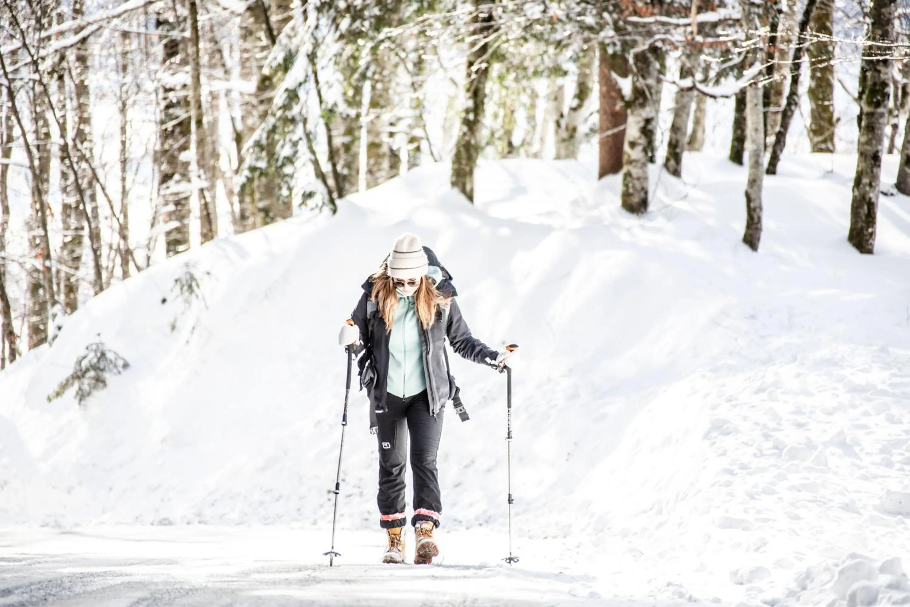 Natural landscape in BOUTIQUEHOTEL das edelweiss