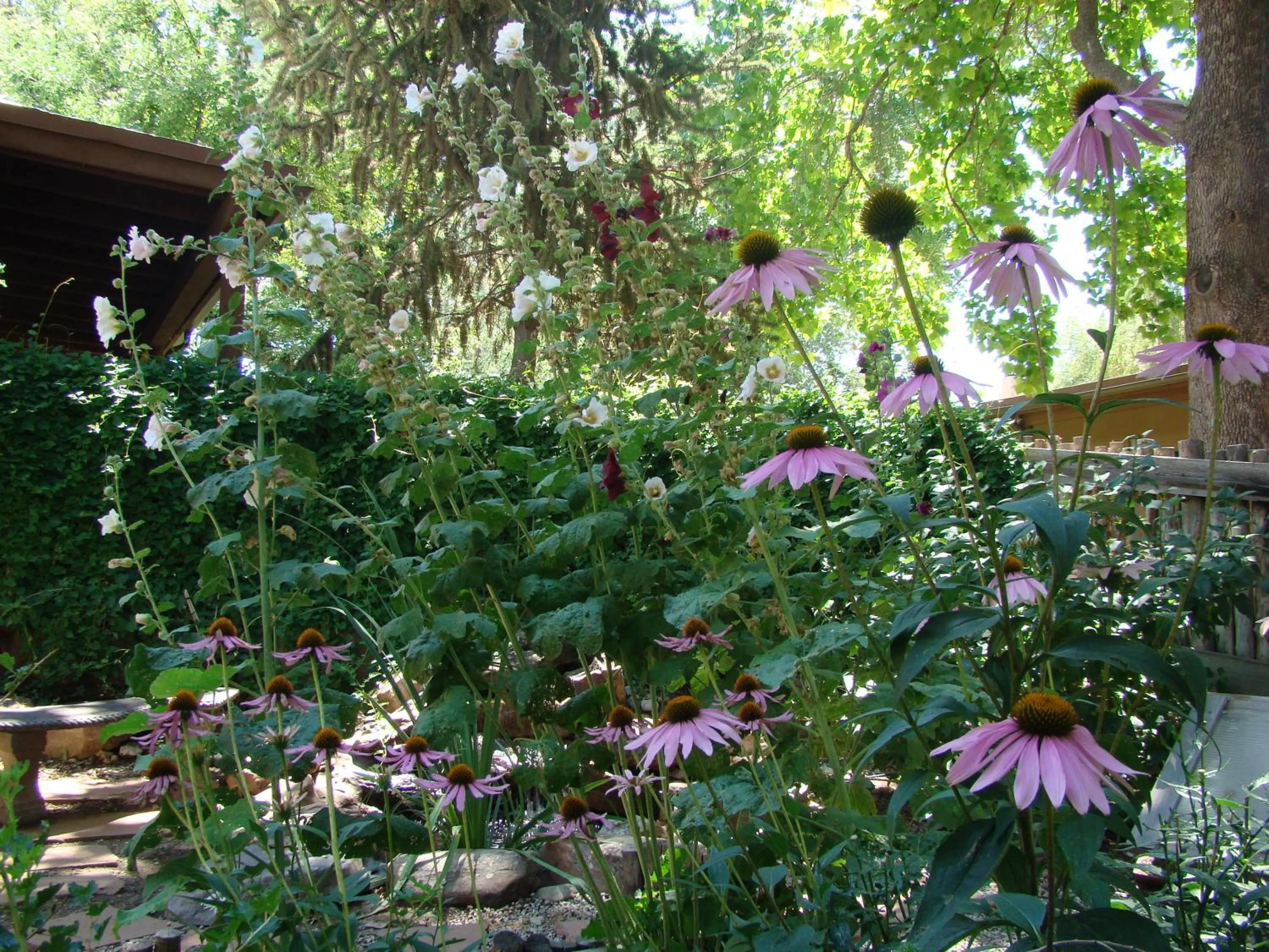 Spring in The Historic Taos Inn