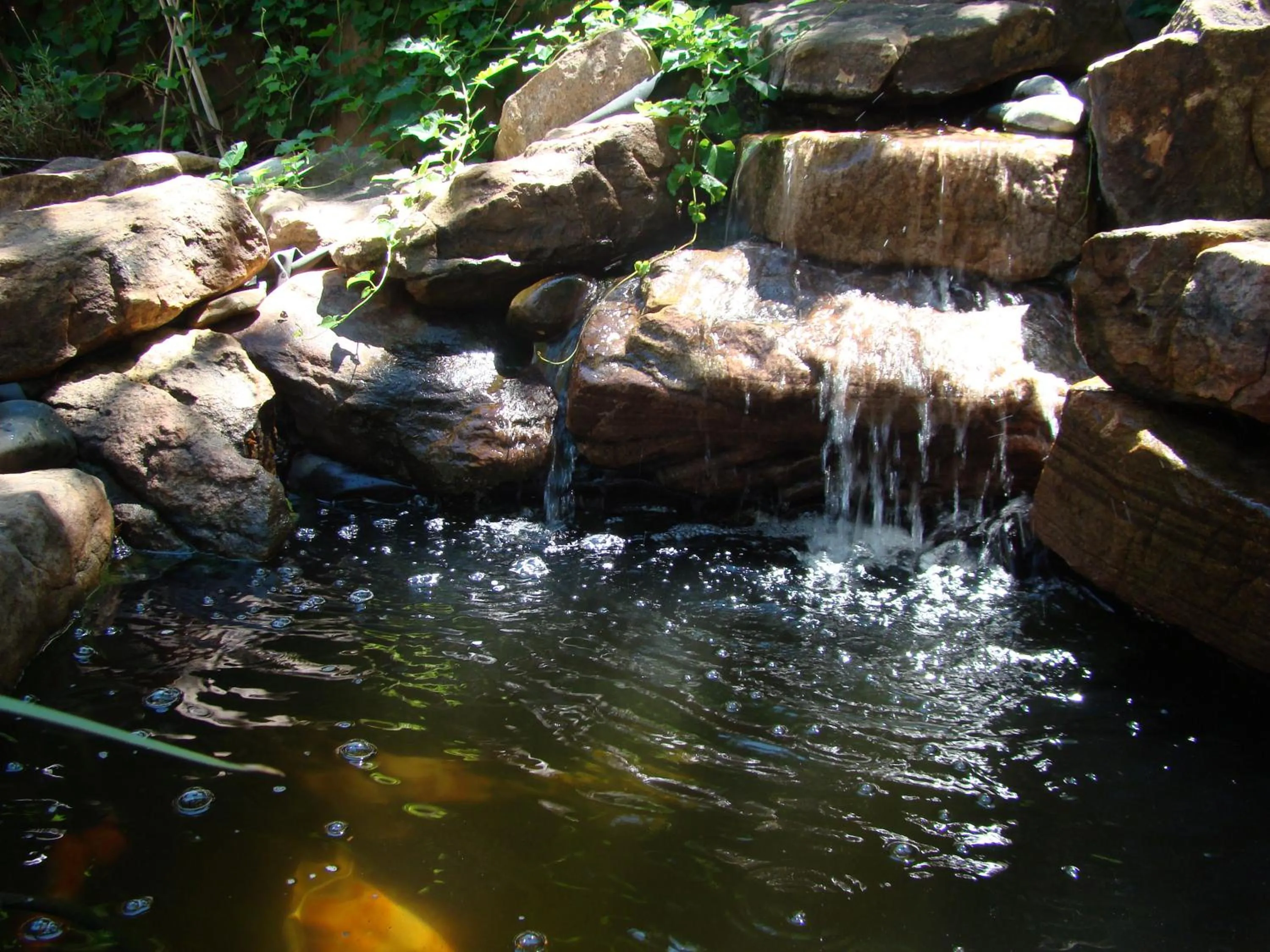 Other in The Historic Taos Inn
