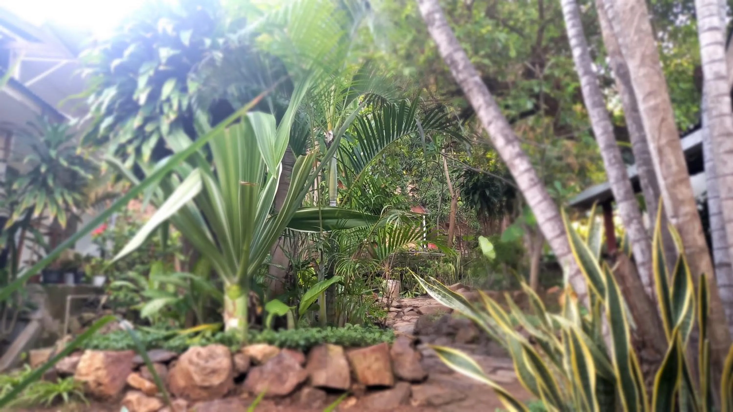 Garden in Bajo Hotel