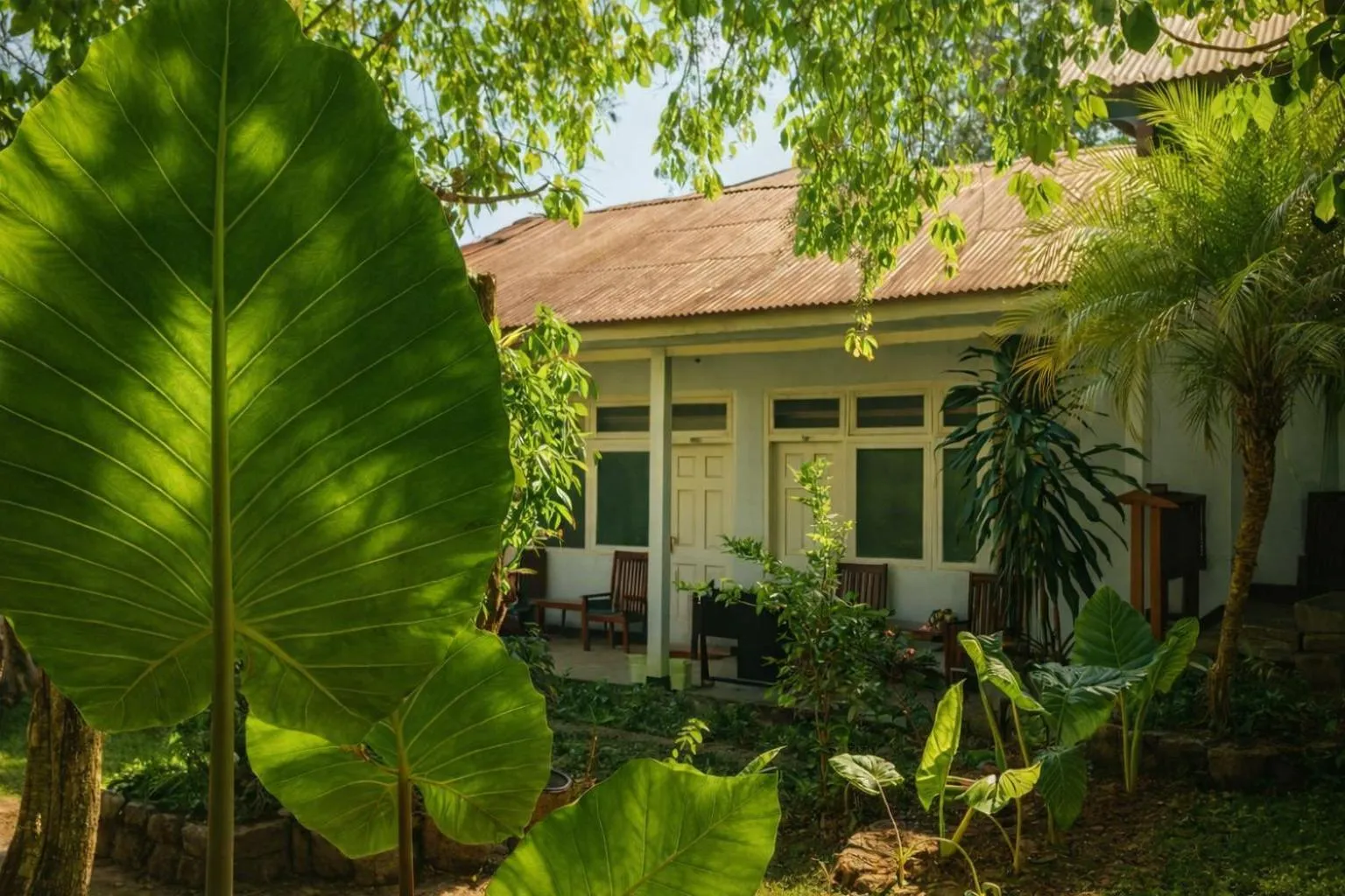 Garden in Bajo Hotel