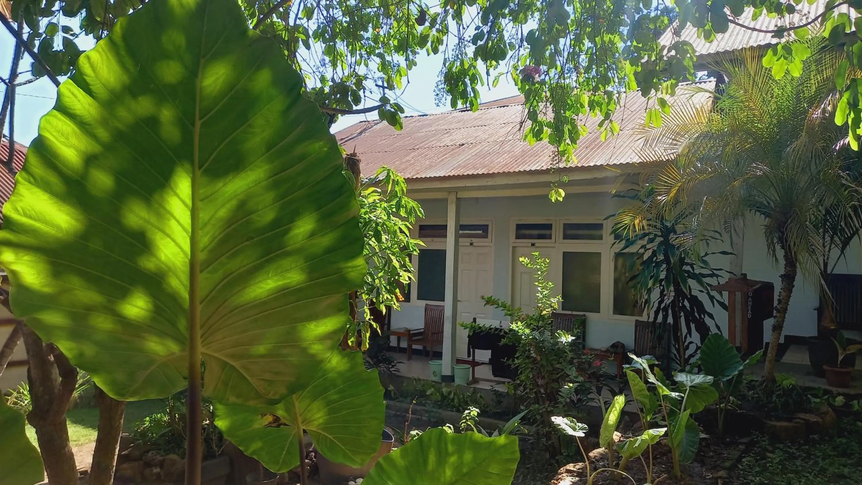 Garden in Bajo Hotel