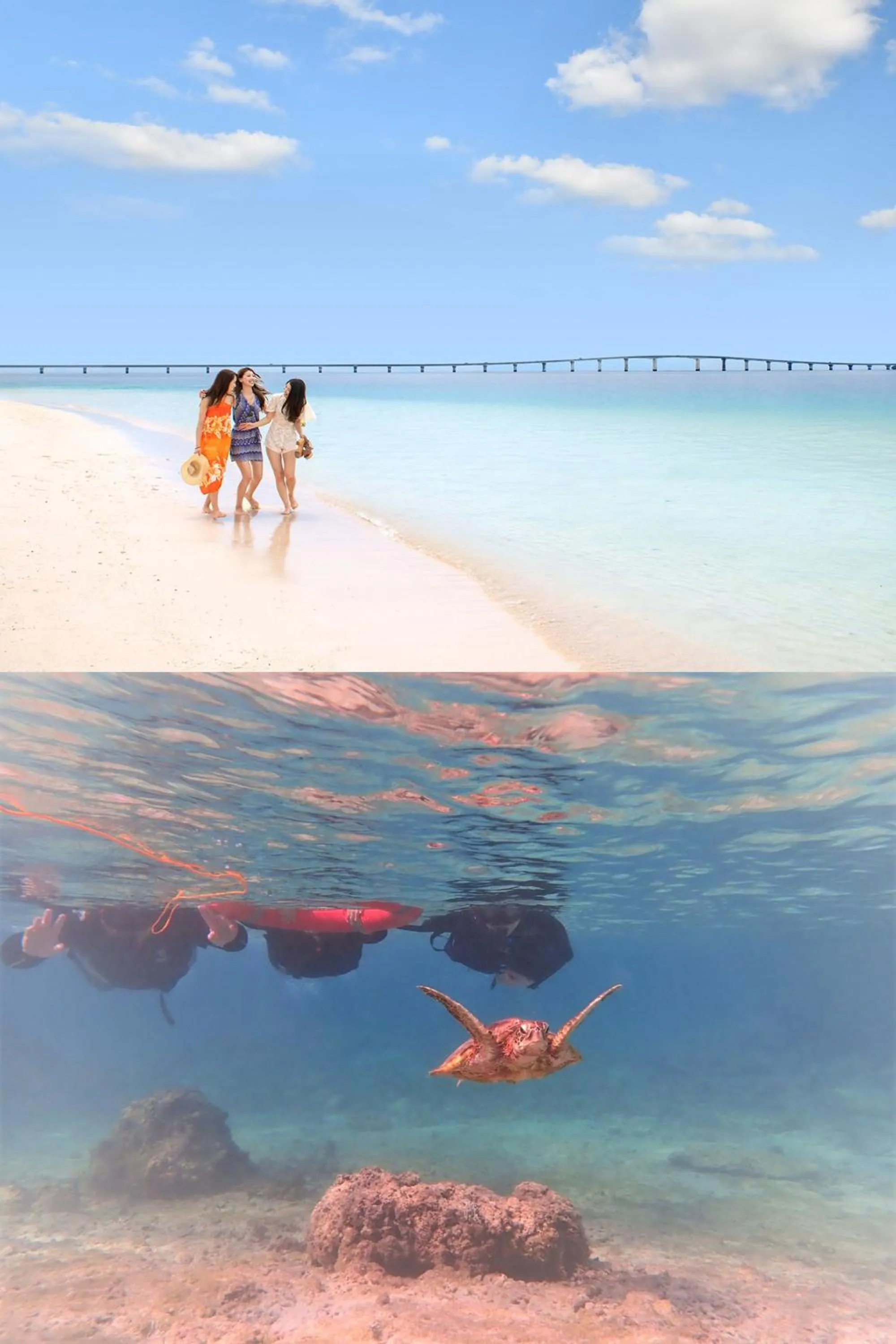 Other in Pine Hills Hotel Miyakojima