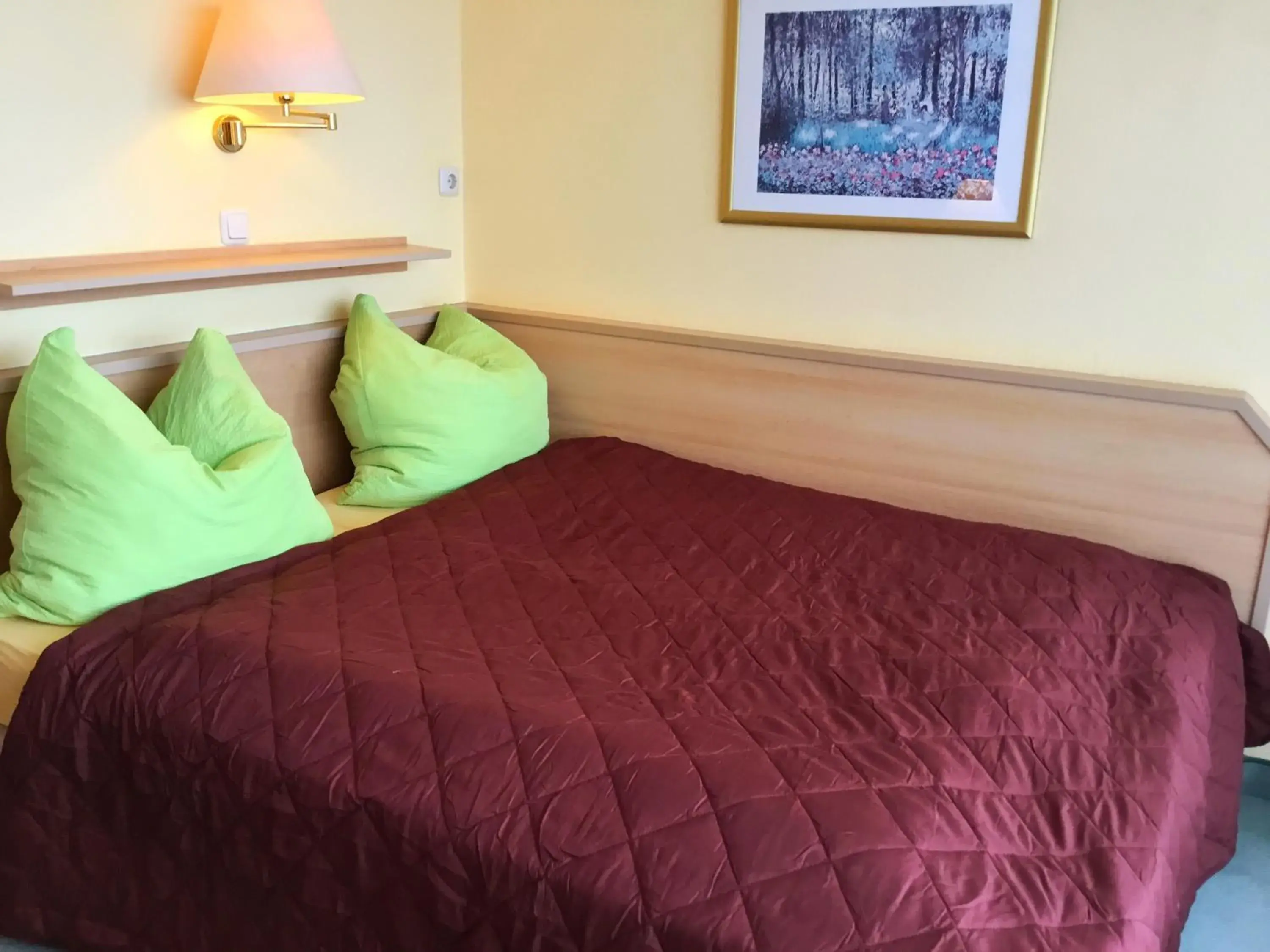 Standard Double Room in Panorama Hotel Pension Frohnau Standard Double Room in Panorama Hotel Pension Frohnau