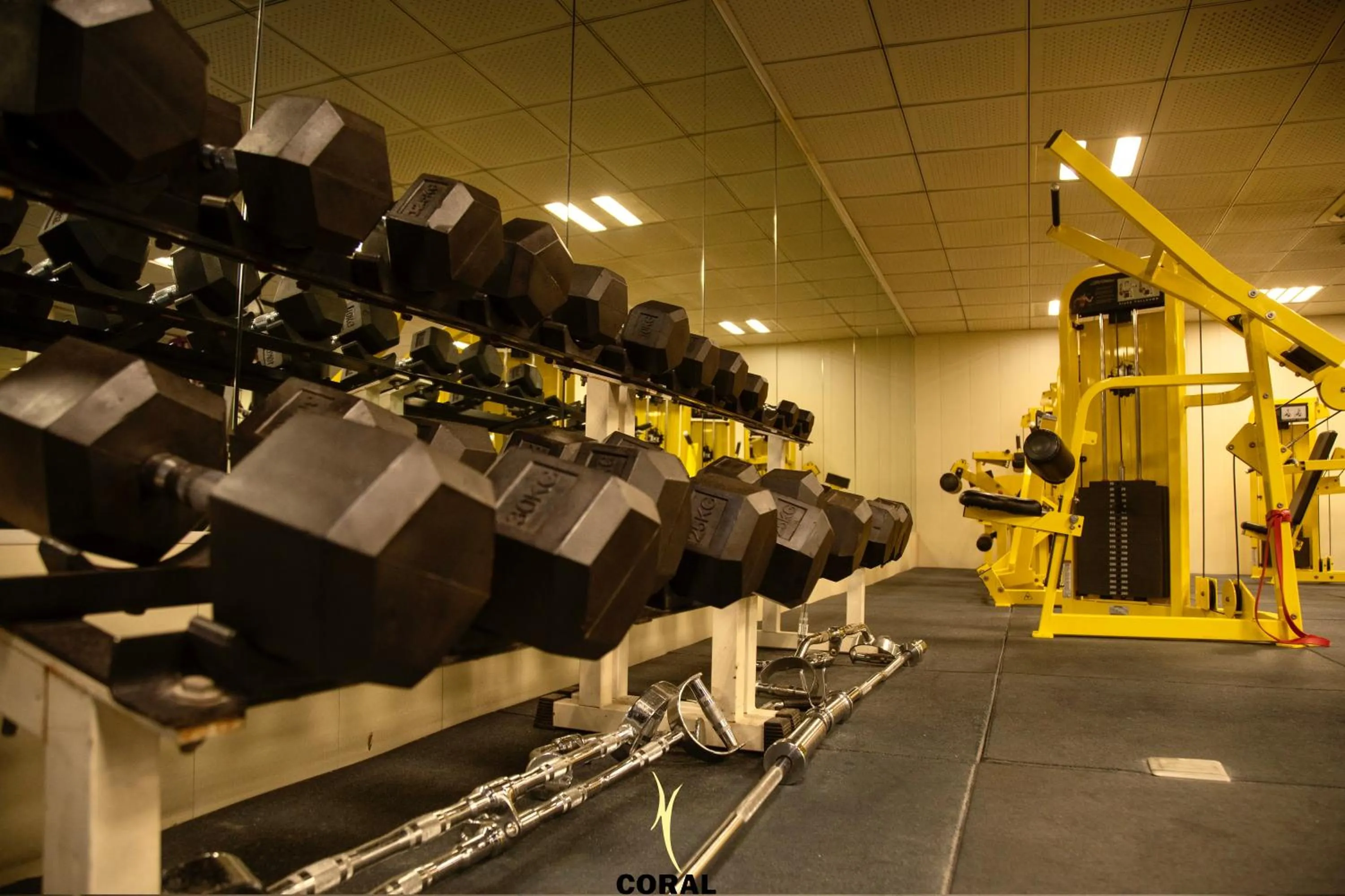 Fitness centre/facilities in Coral Palace Hotel