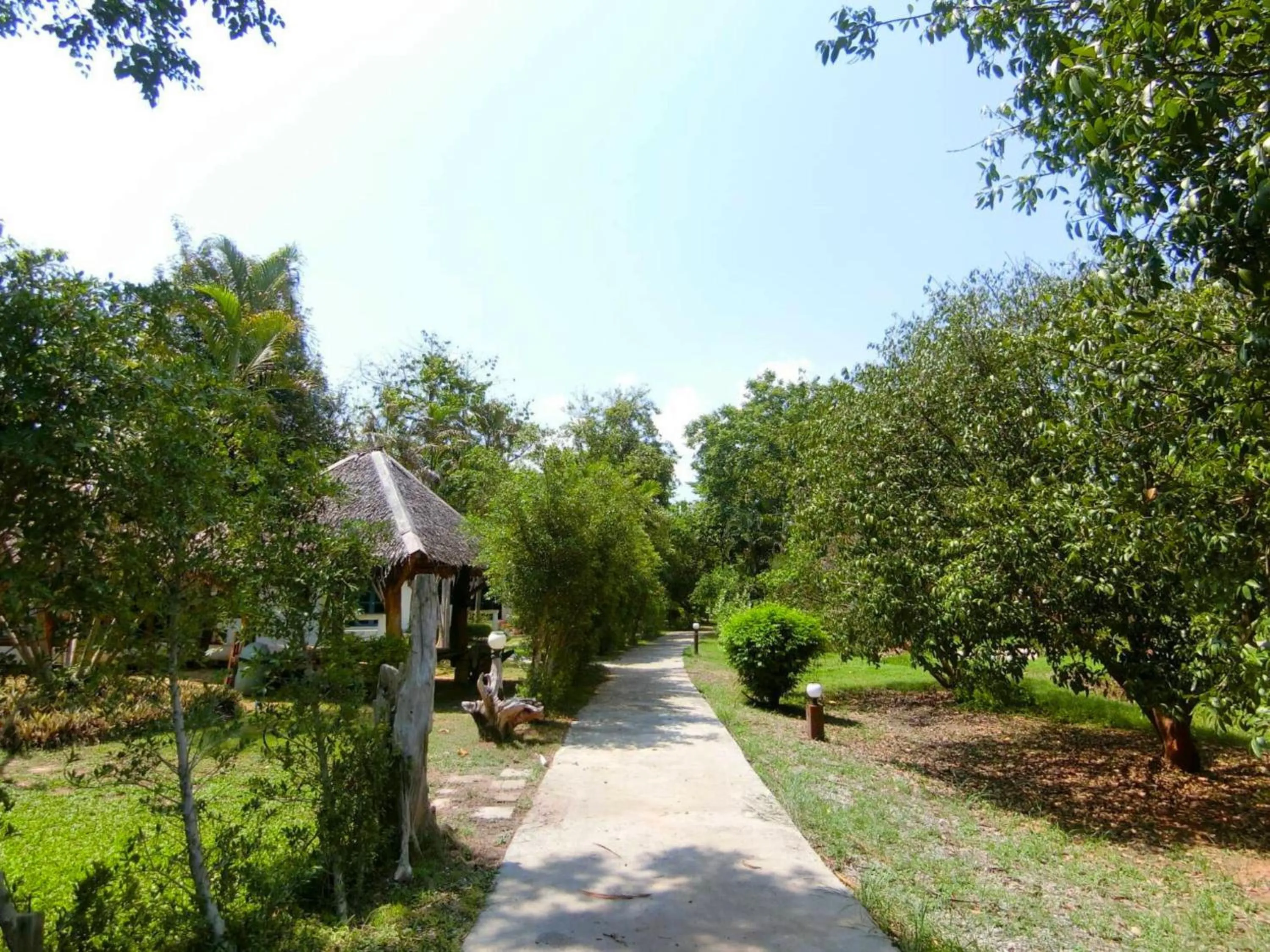 Garden view in AURA Park Resort