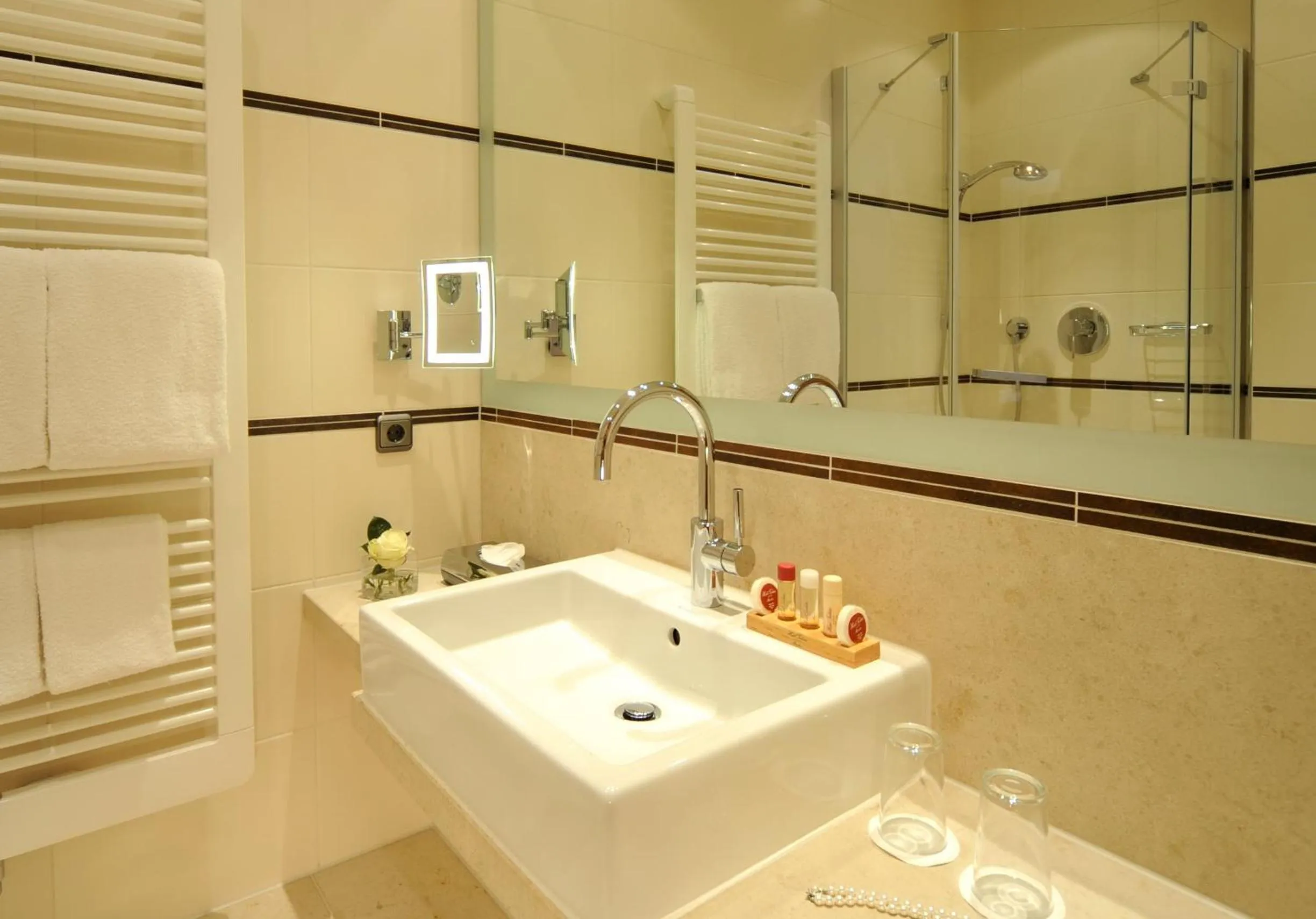 Toilet in Hotel Torbräu