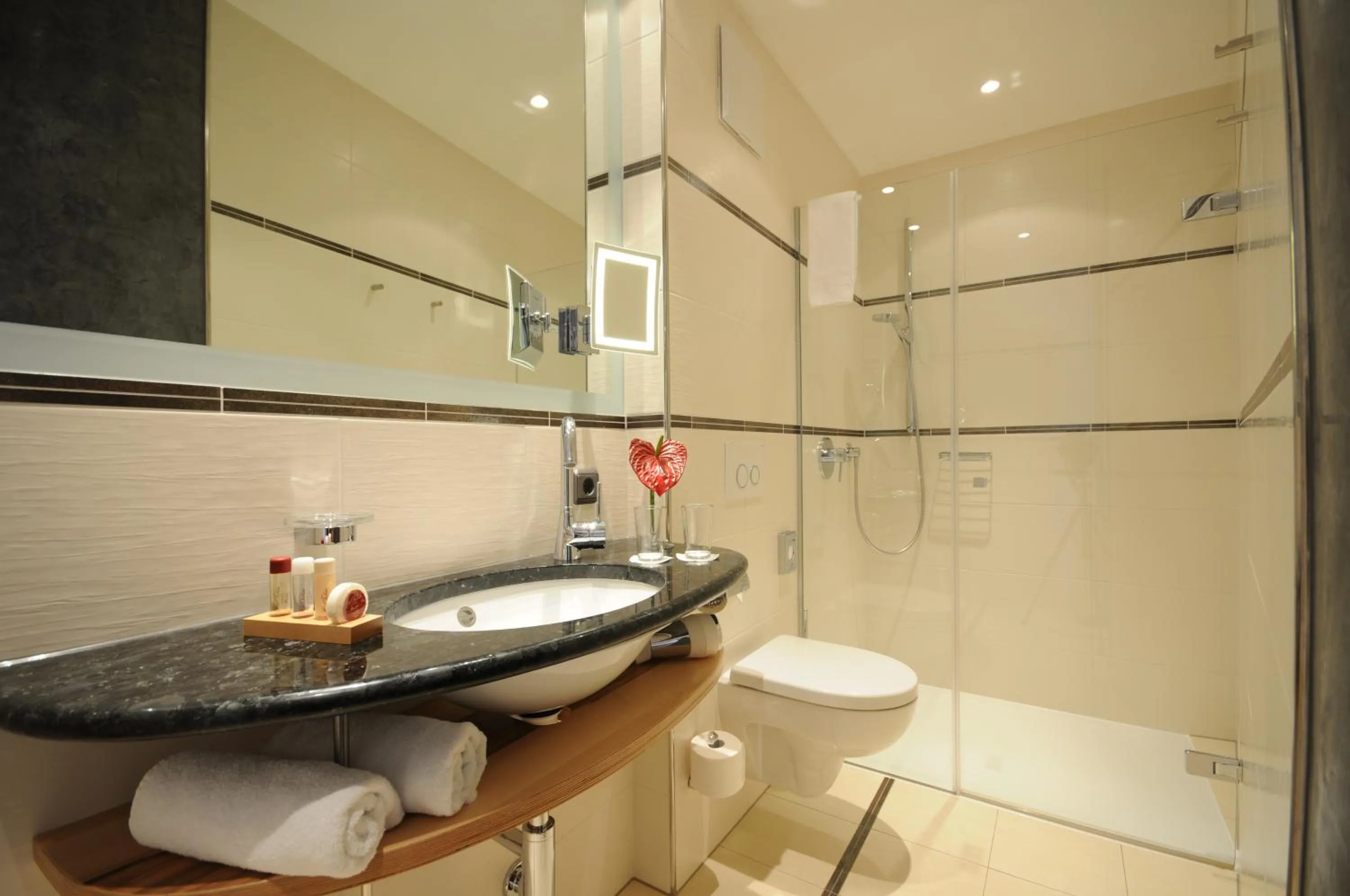 Toilet in Hotel Torbräu