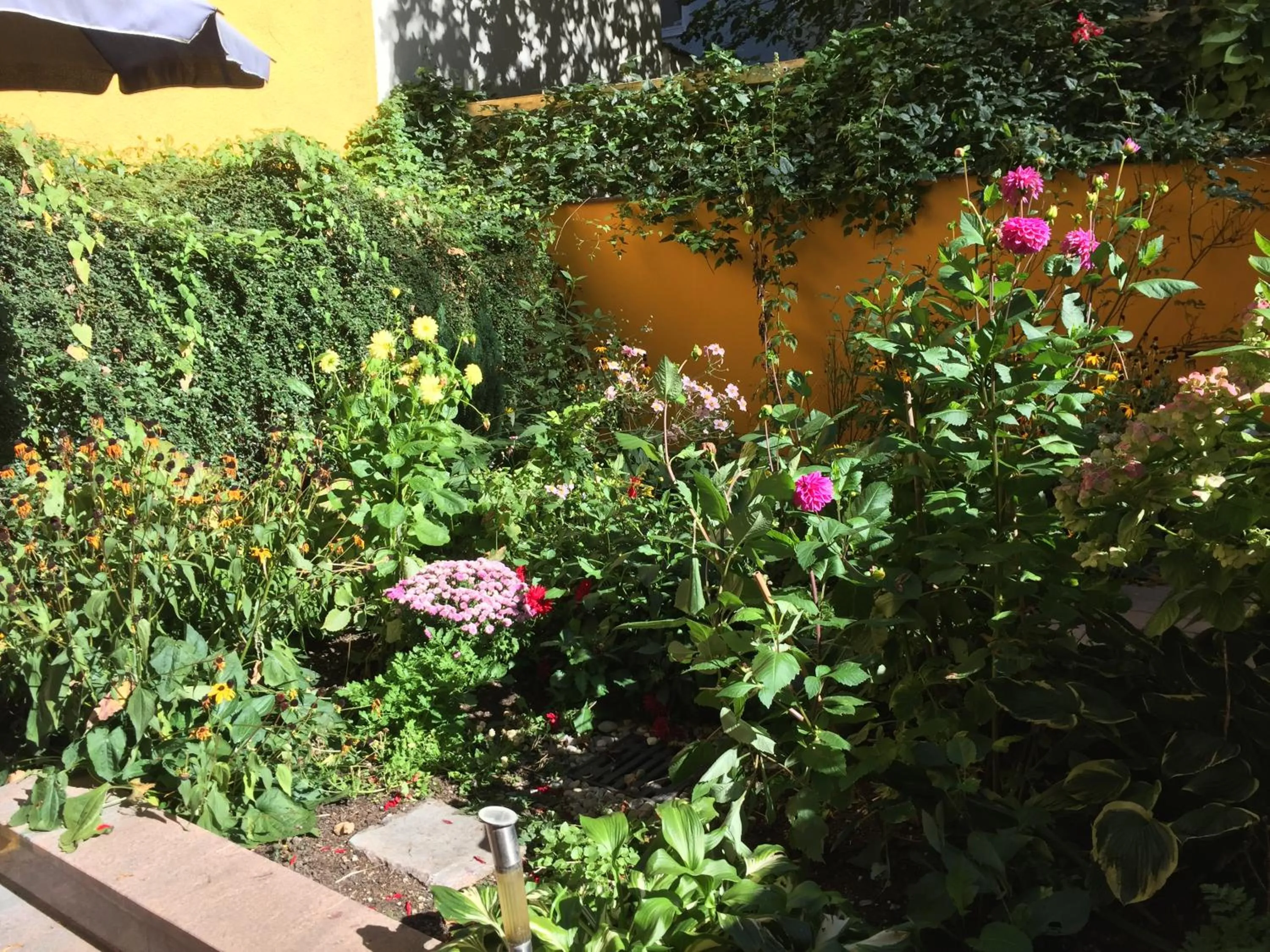 Garden in Hotel Antares München