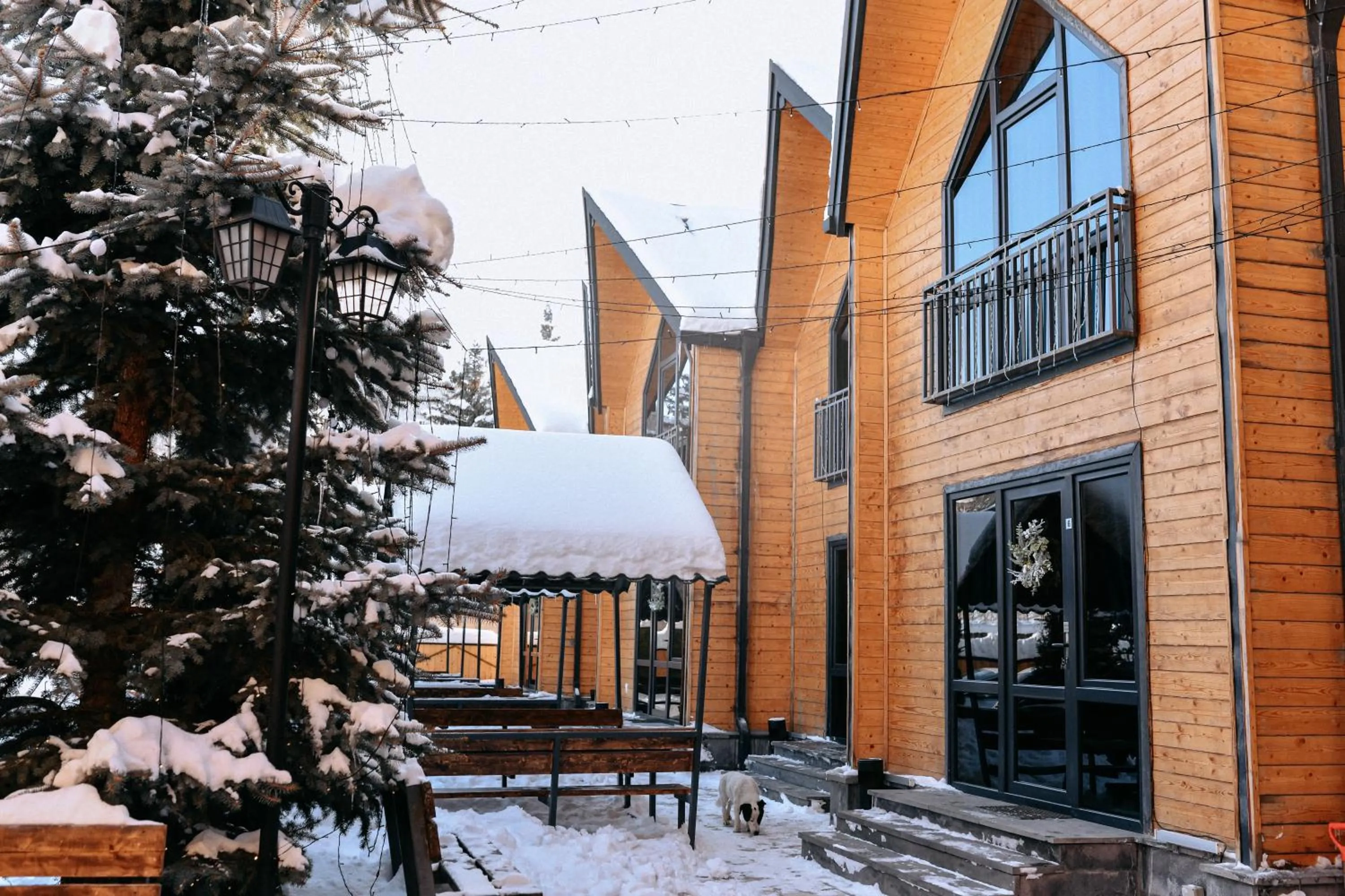 Property building in Everest Rest House