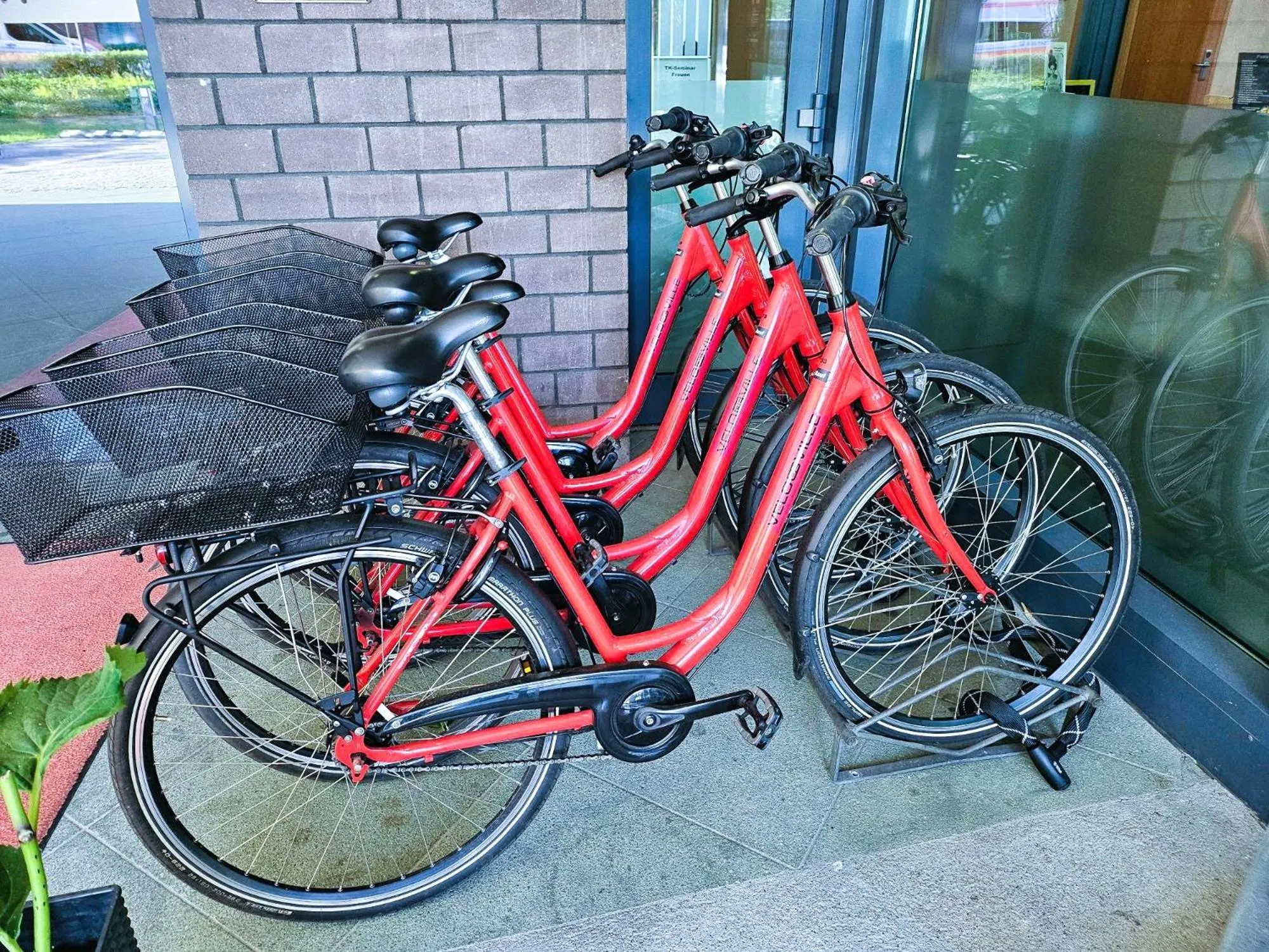 Cycling in Hotel am Borsigturm