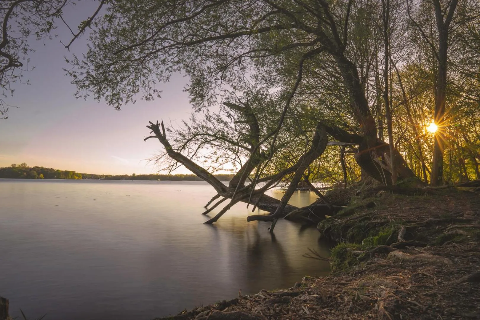 Area and facilities in Hotel am Borsigturm