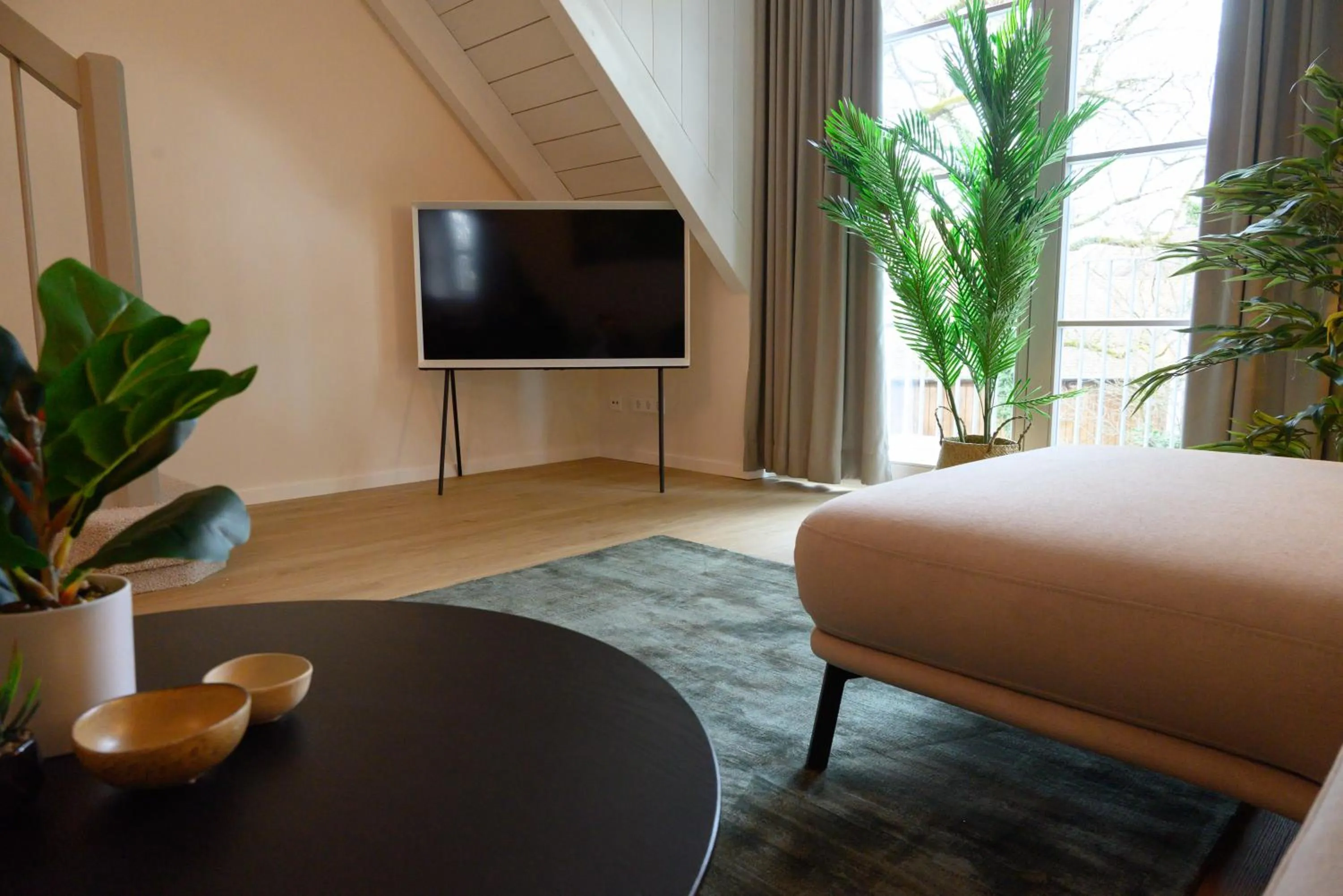 TV and multimedia in InselMühle