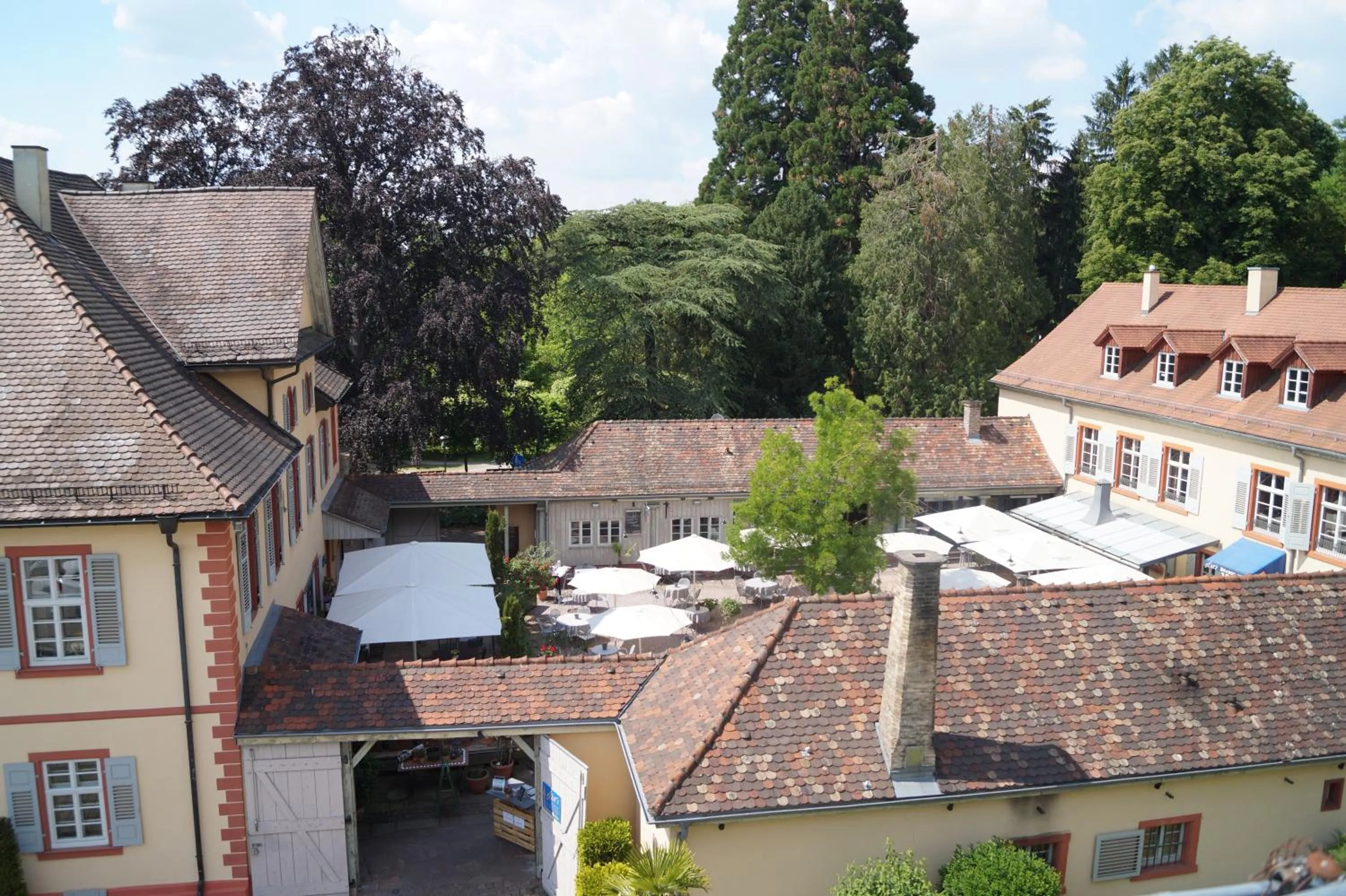 Restaurant/places to eat in Hotel Watthalden