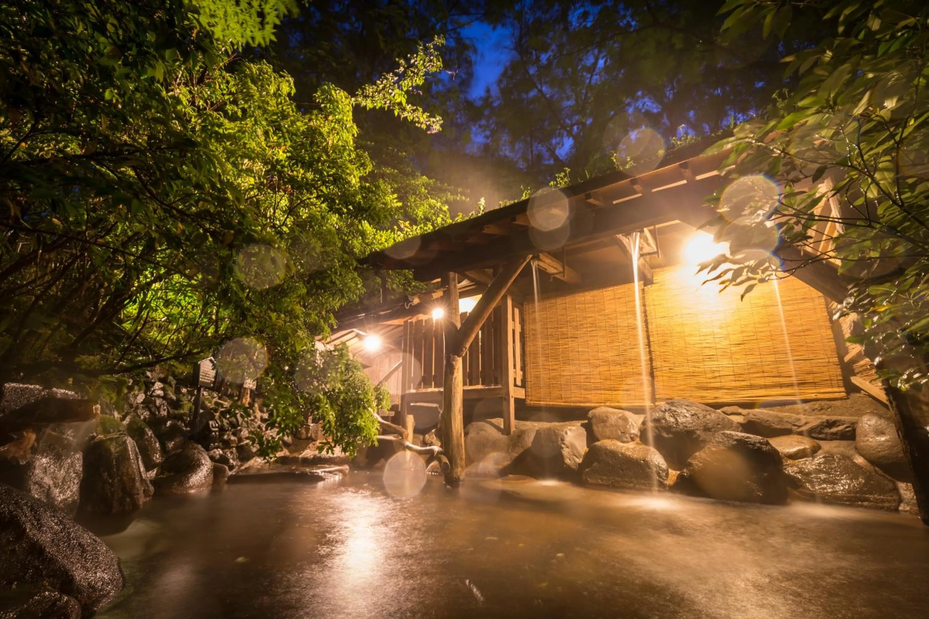 Hot Spring Bath in inn NOSHIYU