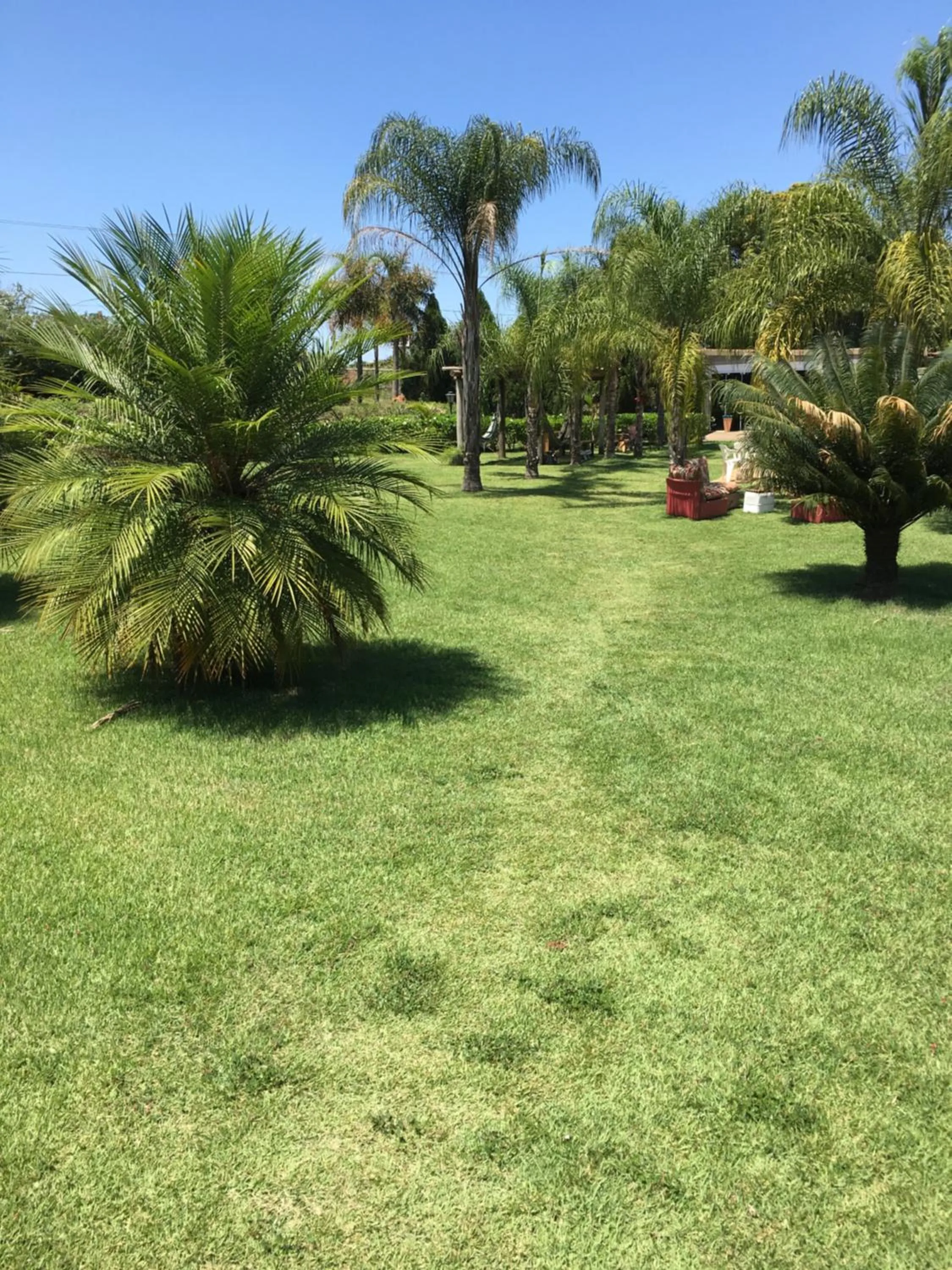 Spring in Parque Hotel Holambra