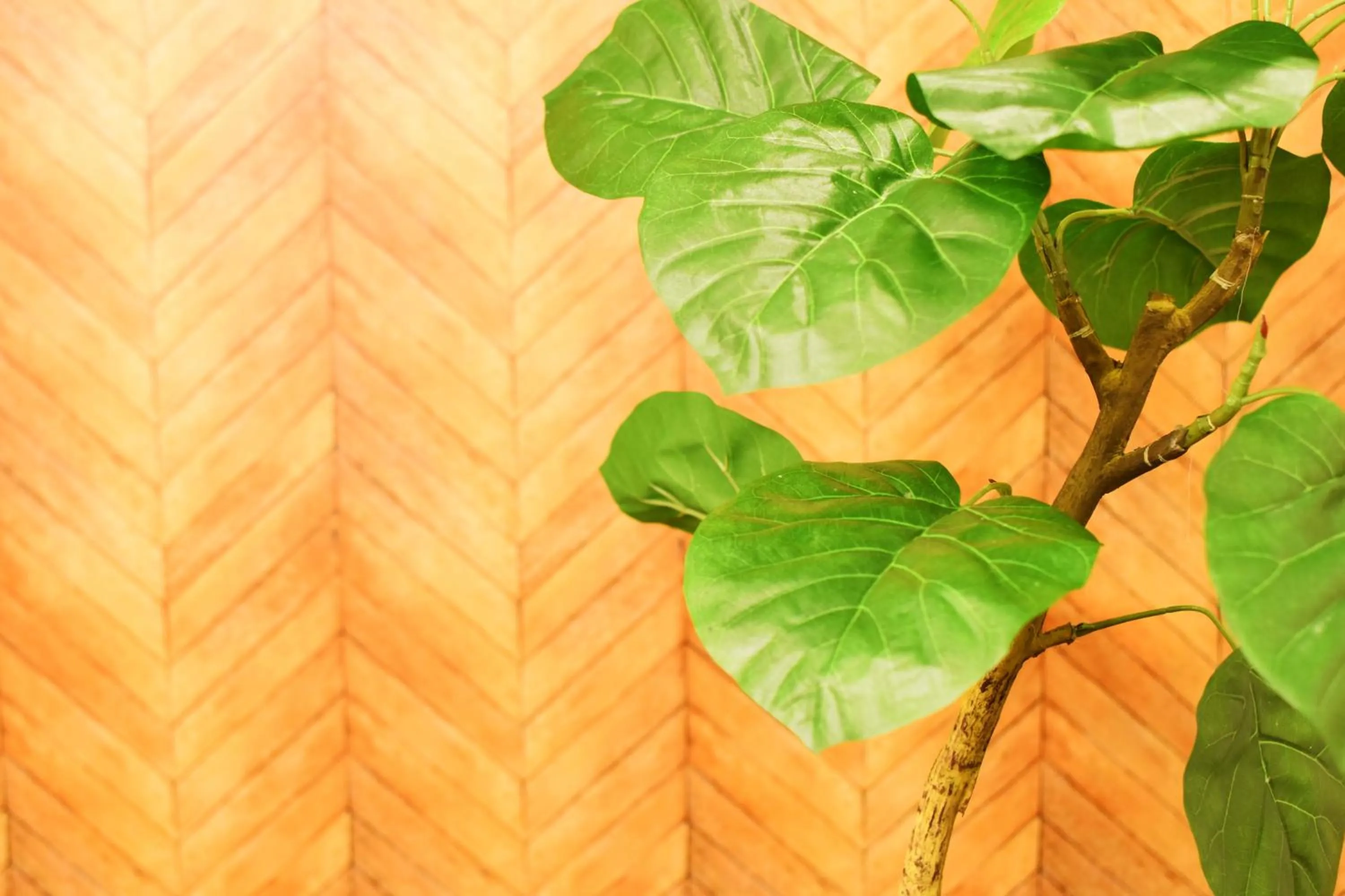 FINOA Residential Suite Asakusa/Oshiage Skytree