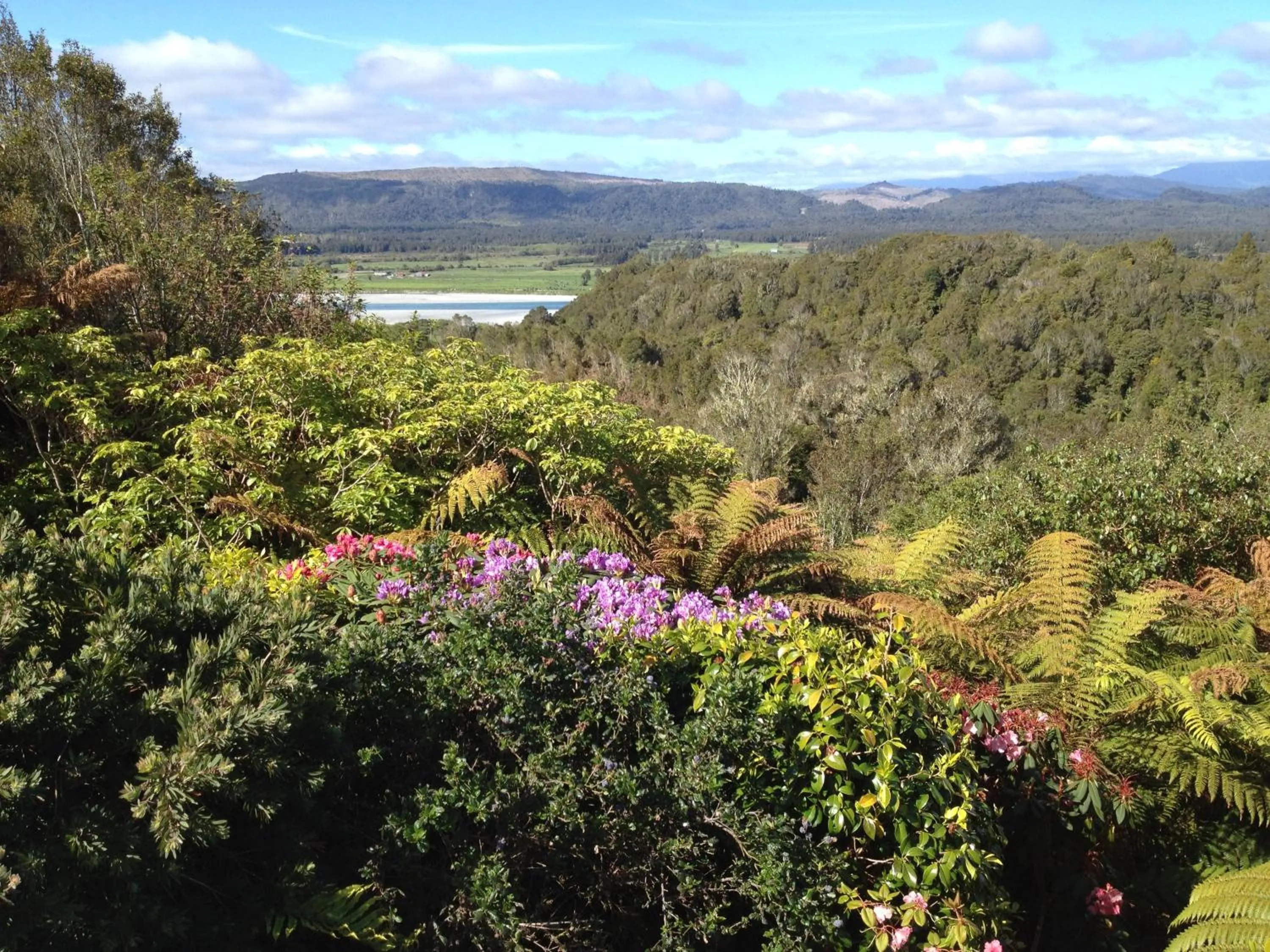 Day in Rimu Lodge